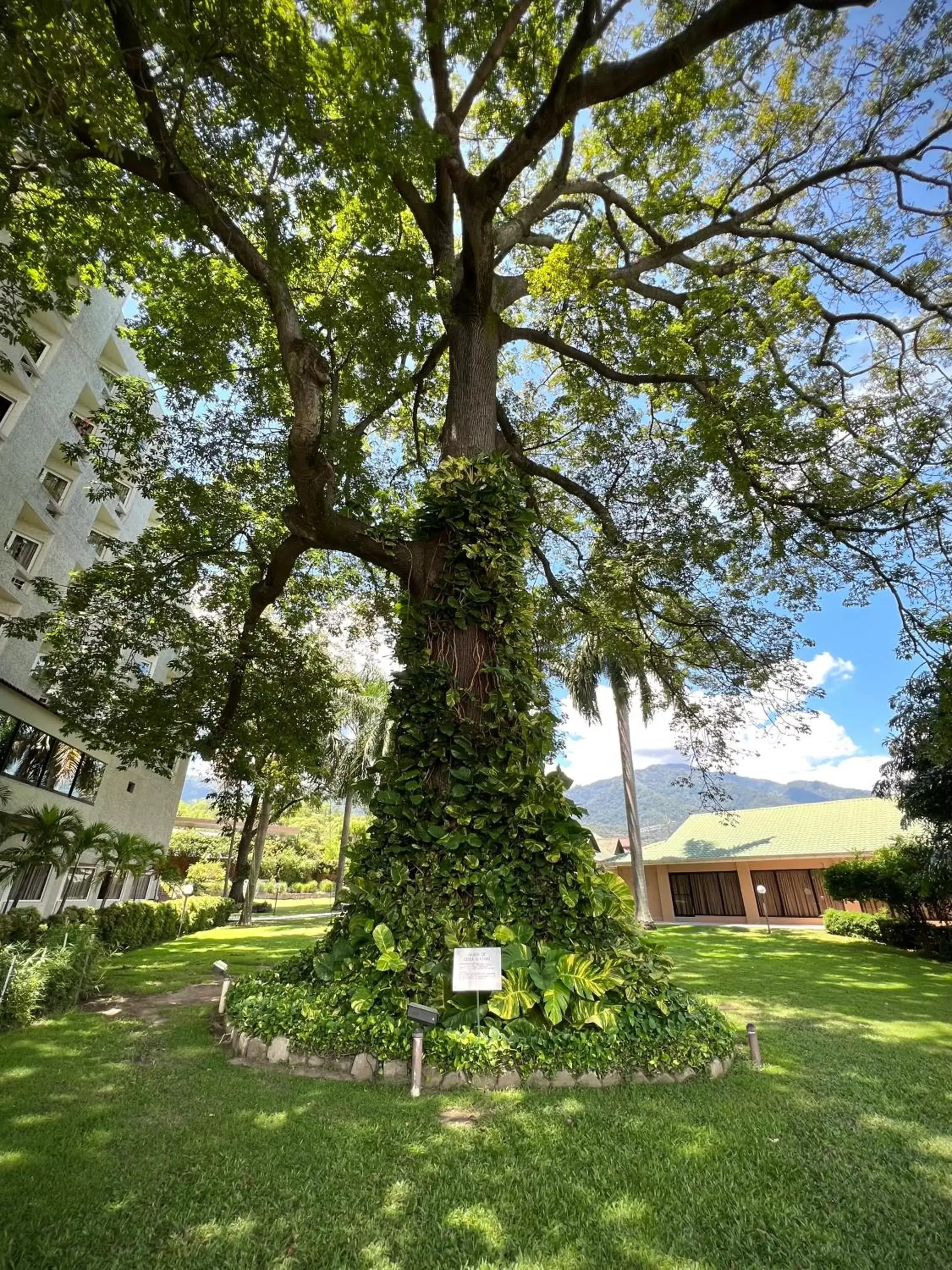 Patio, Garden in Copantl Hotel & Convention Center