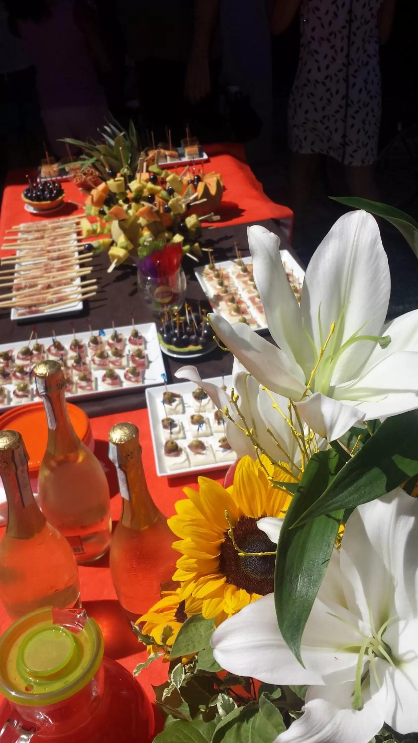 Garden in Hotel Amicizia