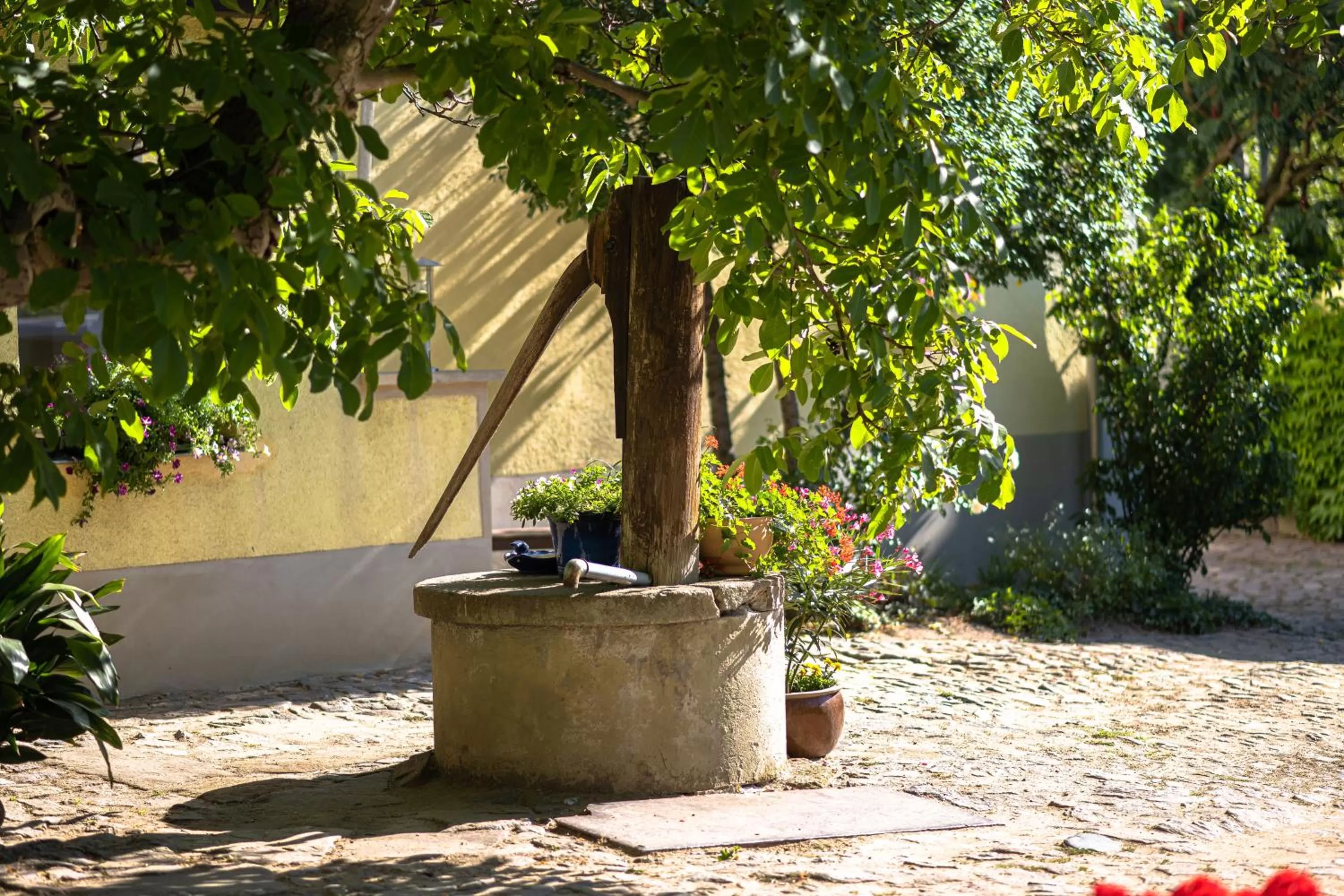 Patio in Hotel Moritz an der Elbe