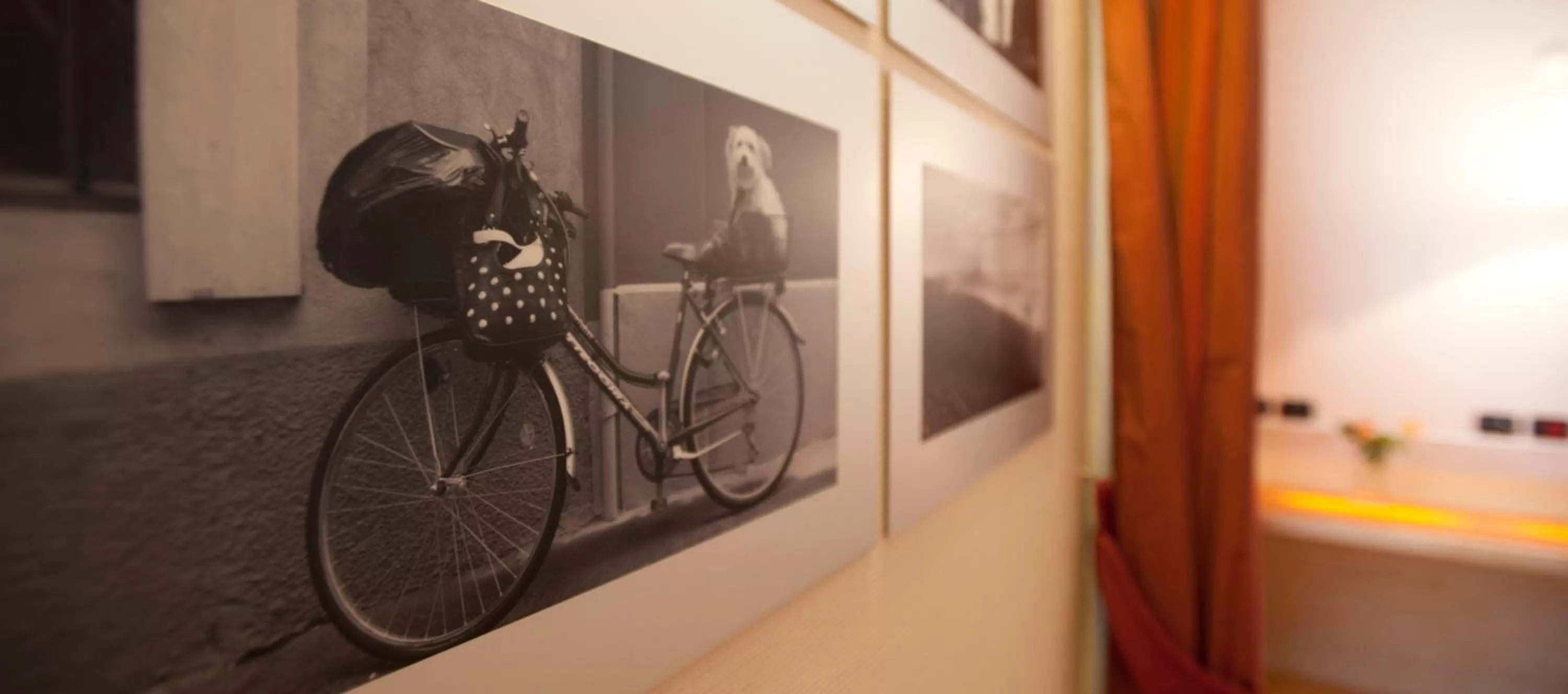 Decorative detail in AlbaResidence Masera26