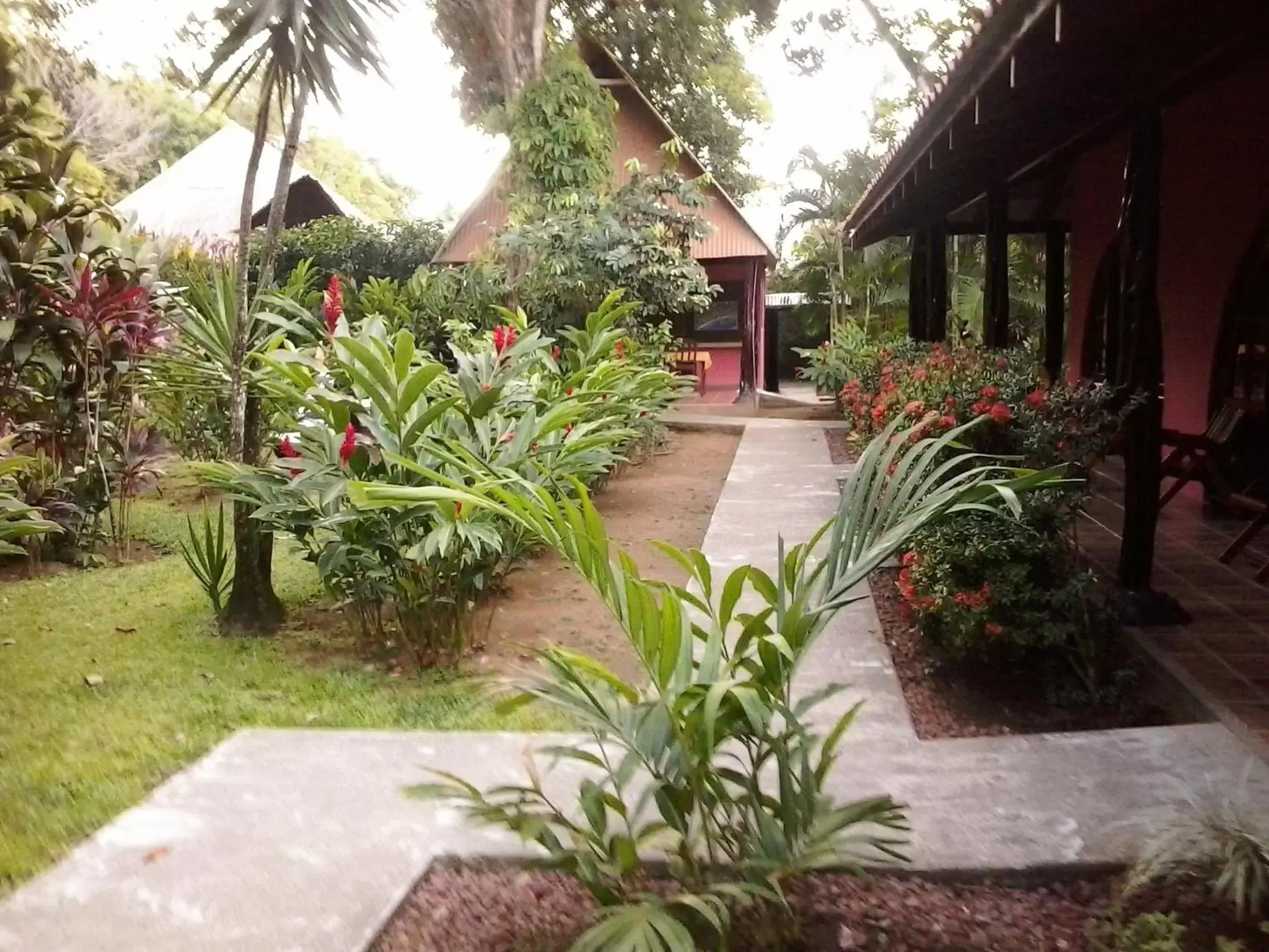 Communal lounge/ TV room, Garden in Hotel El Paraiso Escondido - Costa Rica