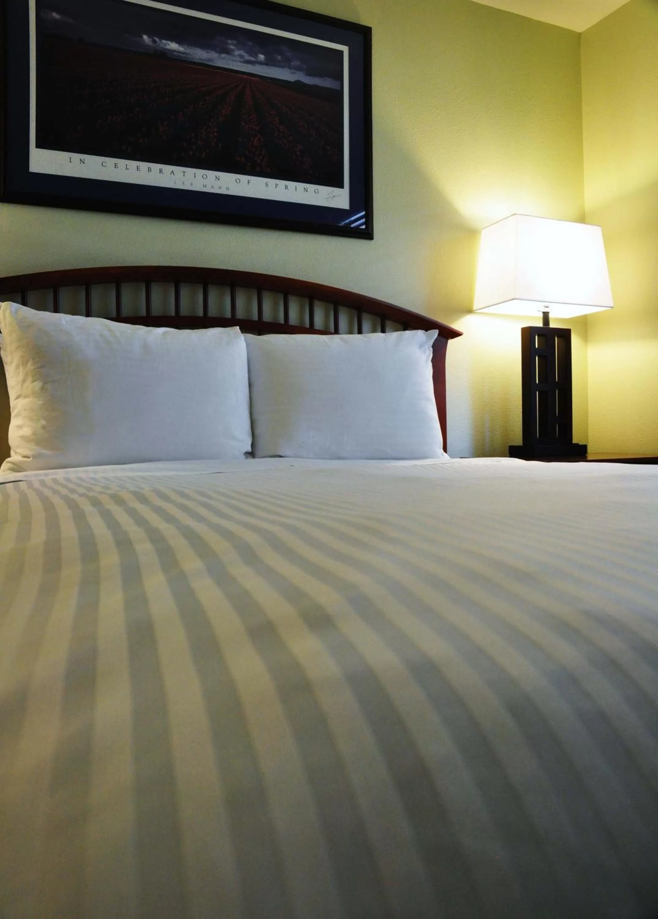 Bed in Anacortes Ship Harbor Inn