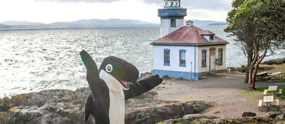 Nearby landmark, Other Animals in The Orca Inn