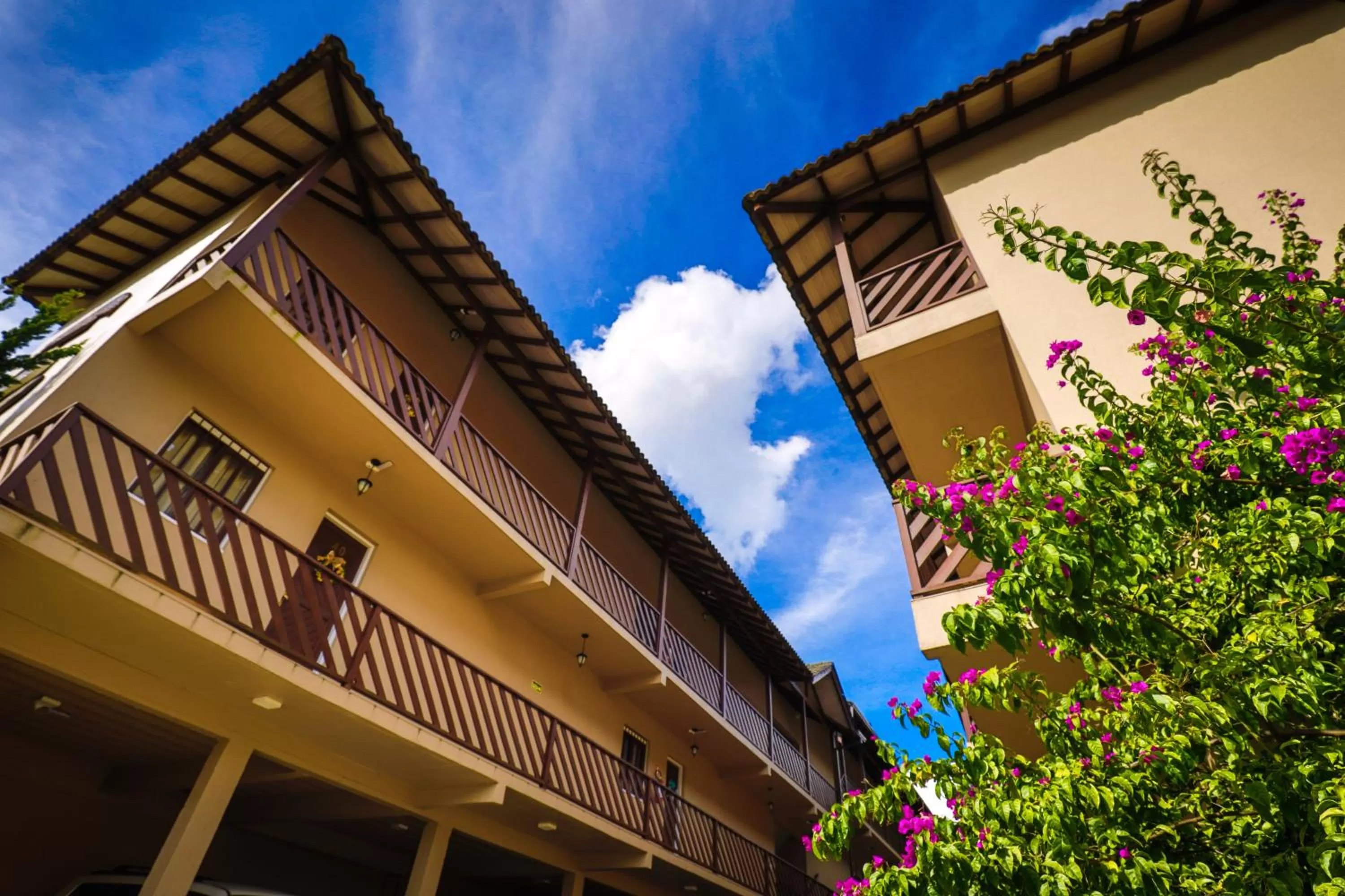 Property Building in Cammino Della Serra