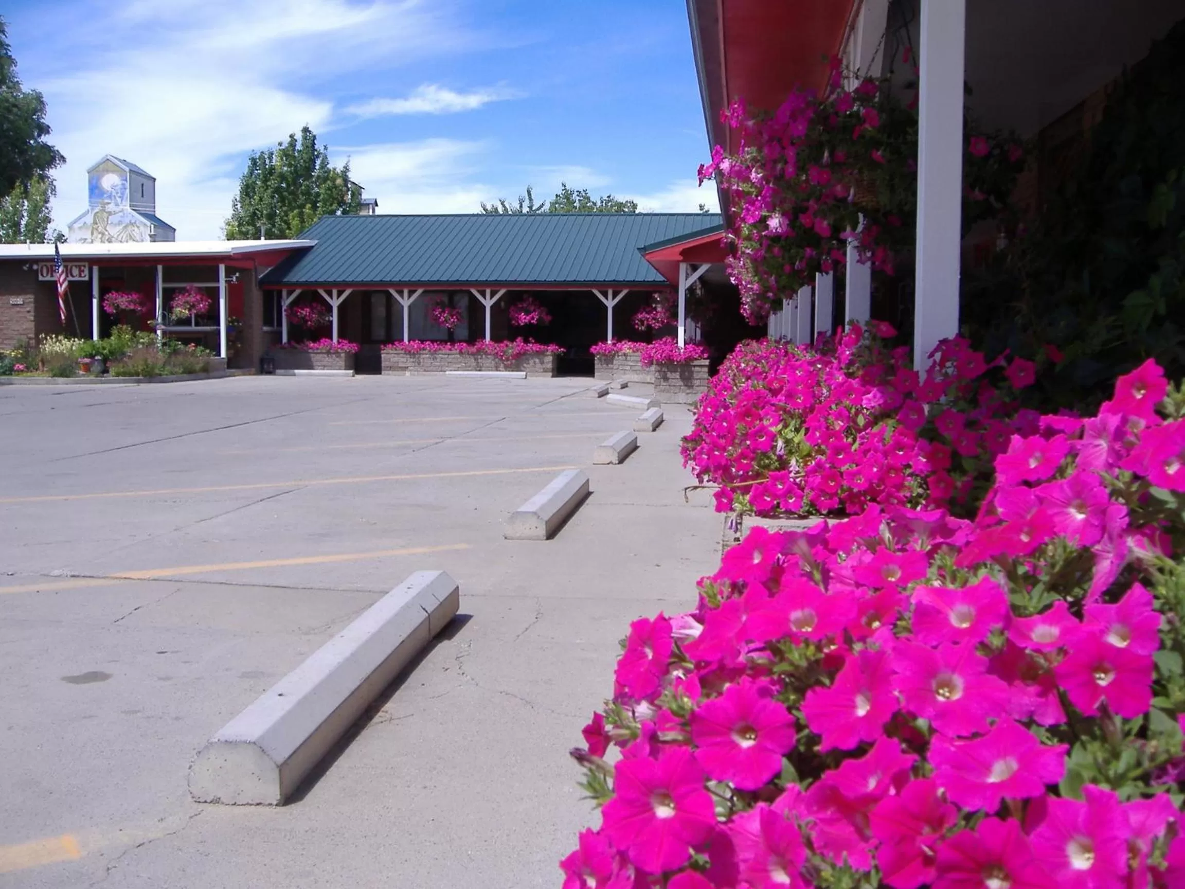 Spring in Greybull Motel