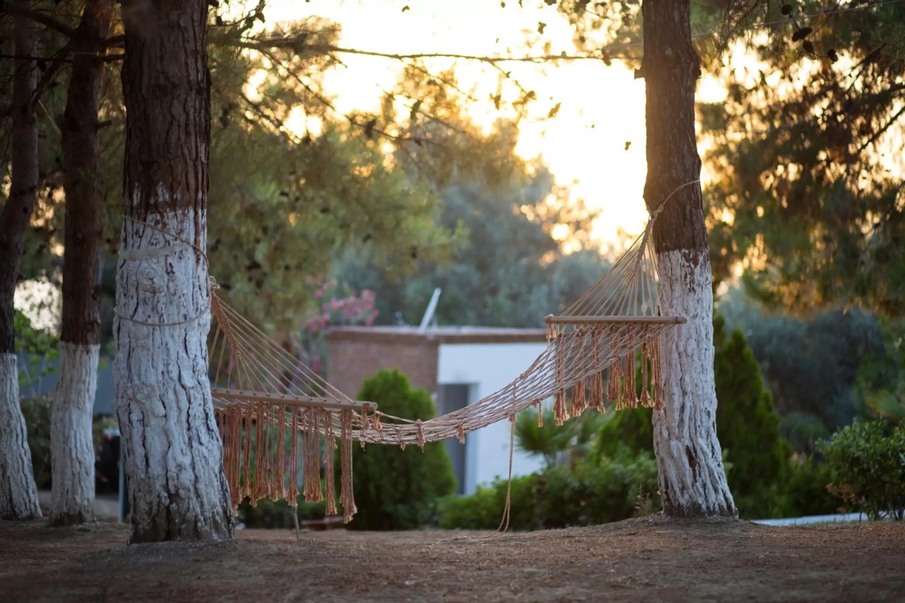 Garden in Tuntas Family Suites Kusadasi