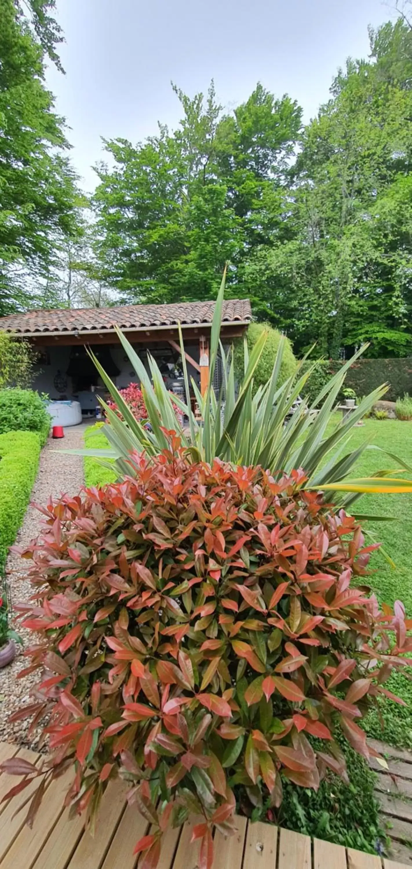 Garden view, Garden in A l'Ecole Buissonnière