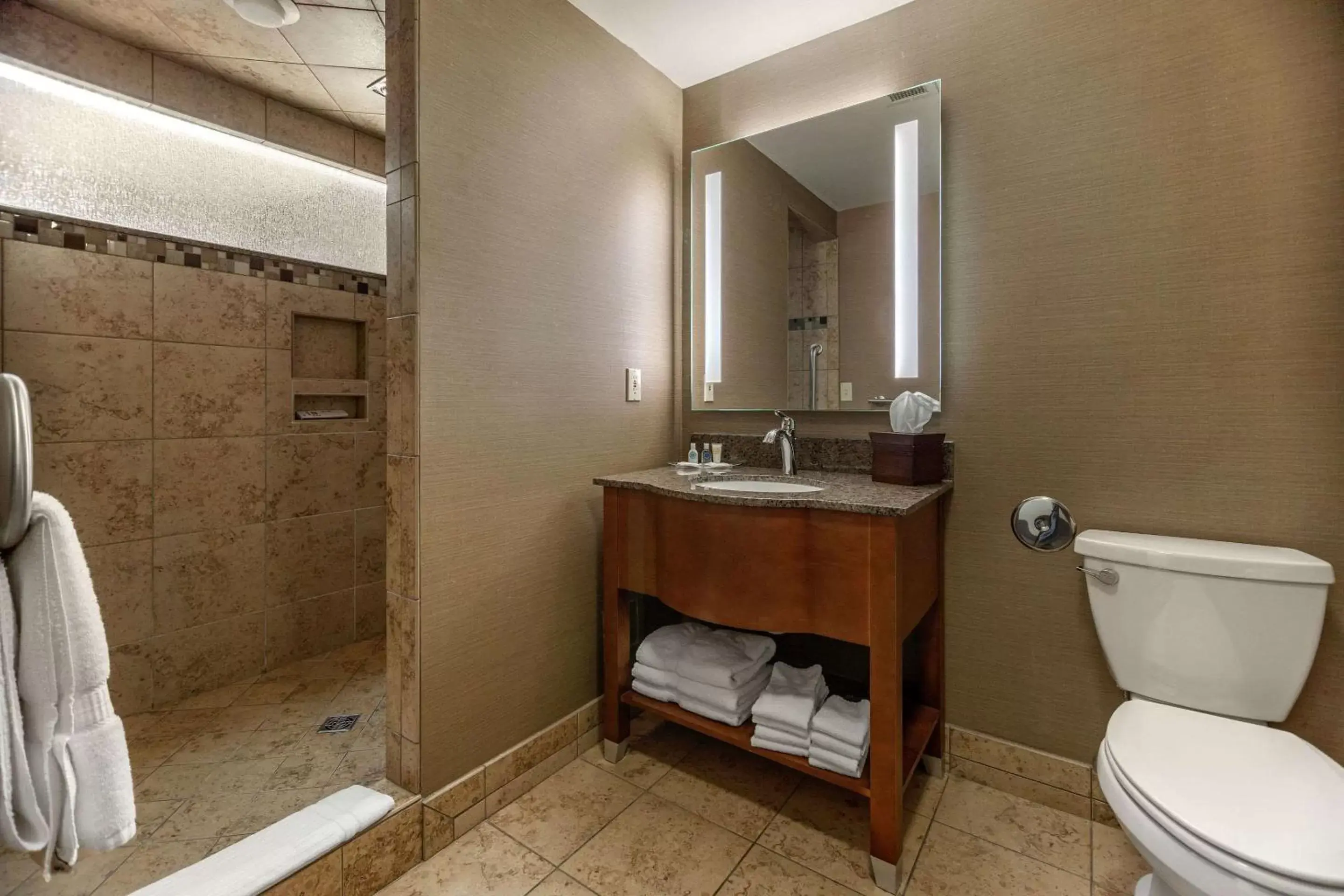 Photo of the whole room, Bathroom in Comfort Suites Green Bay