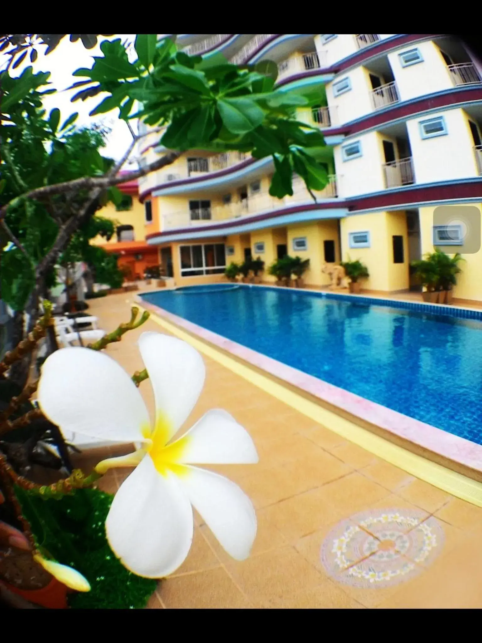 Swimming pool in Smile Residence Swimming pool in Smile Residence
