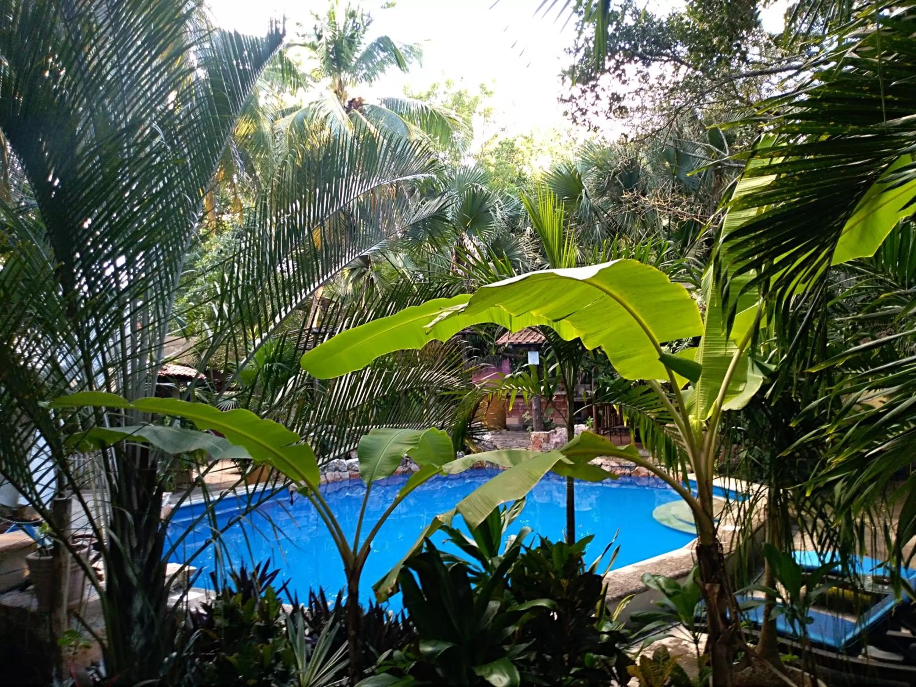 Pool view in Posada El Jardin
