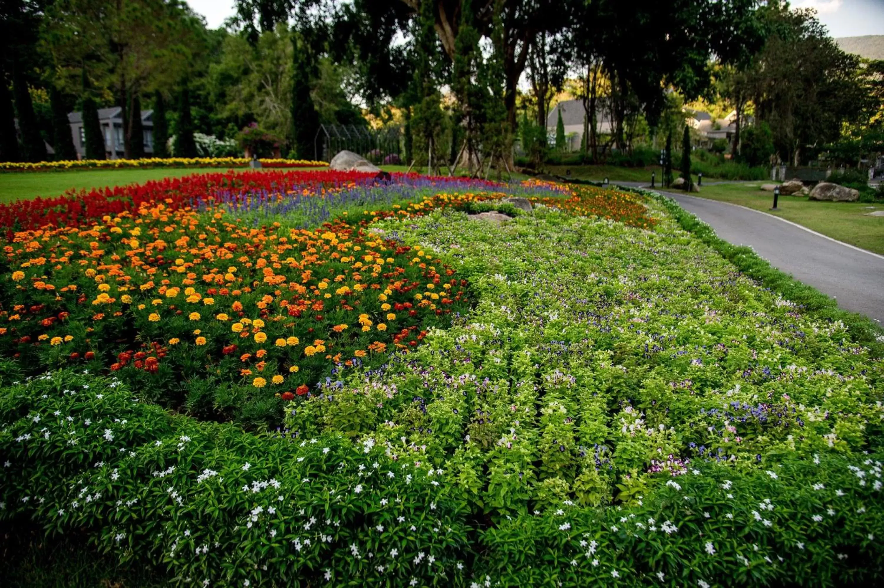 Day, Garden in Flora Creek Chiang Mai