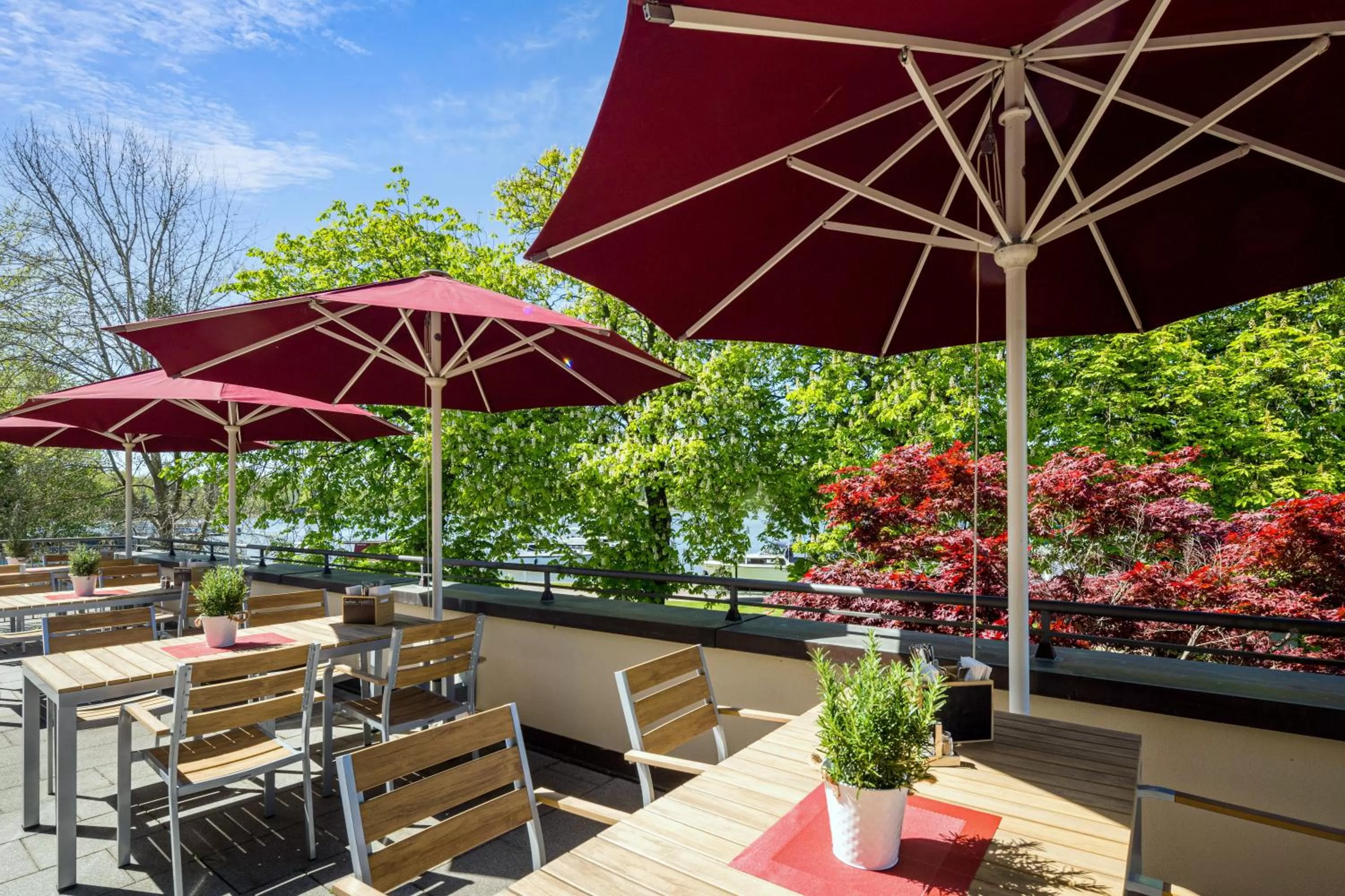 Restaurant/places to eat in Seehotel Rheinsberg