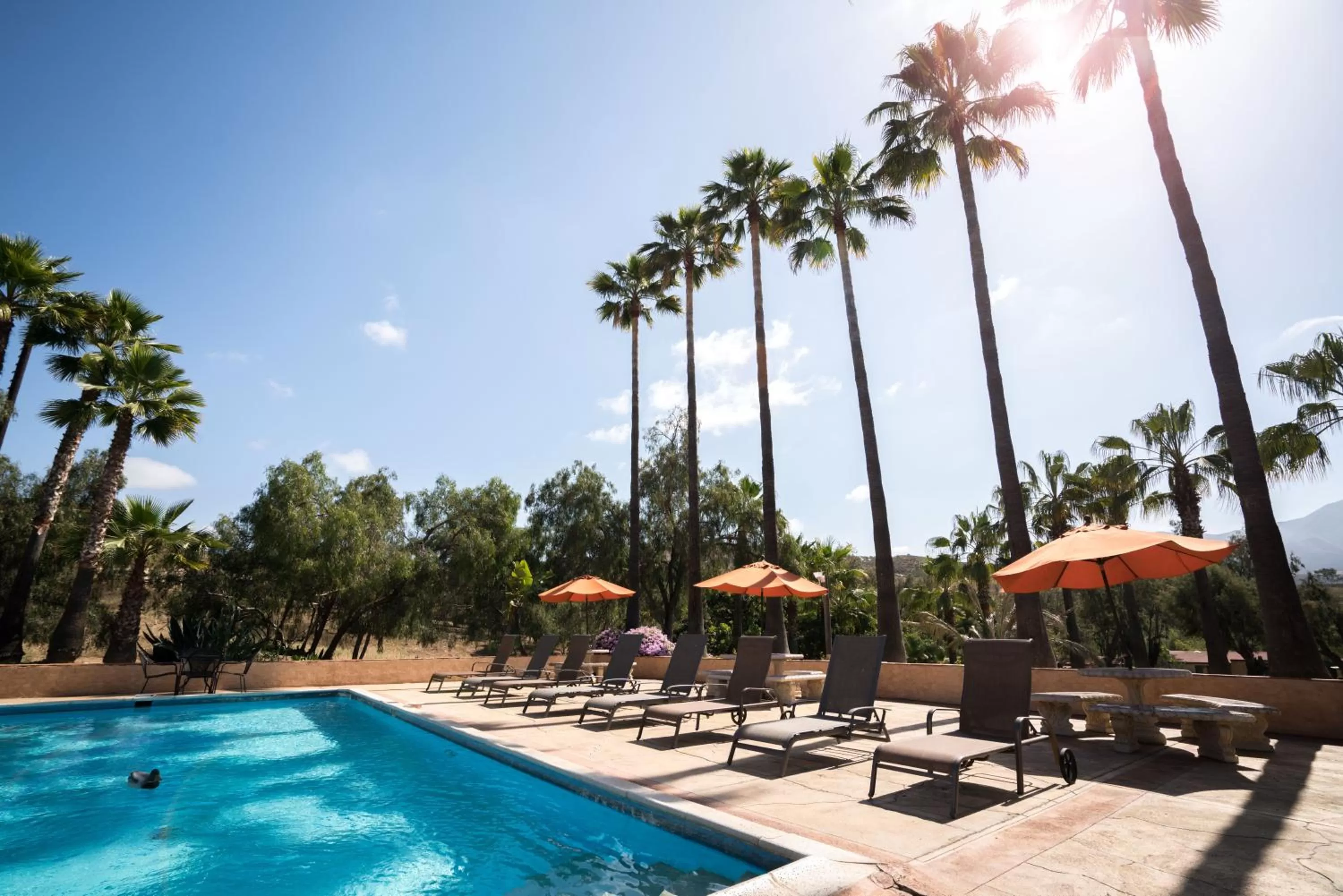 , Swimming Pool in Horsepower Ranch