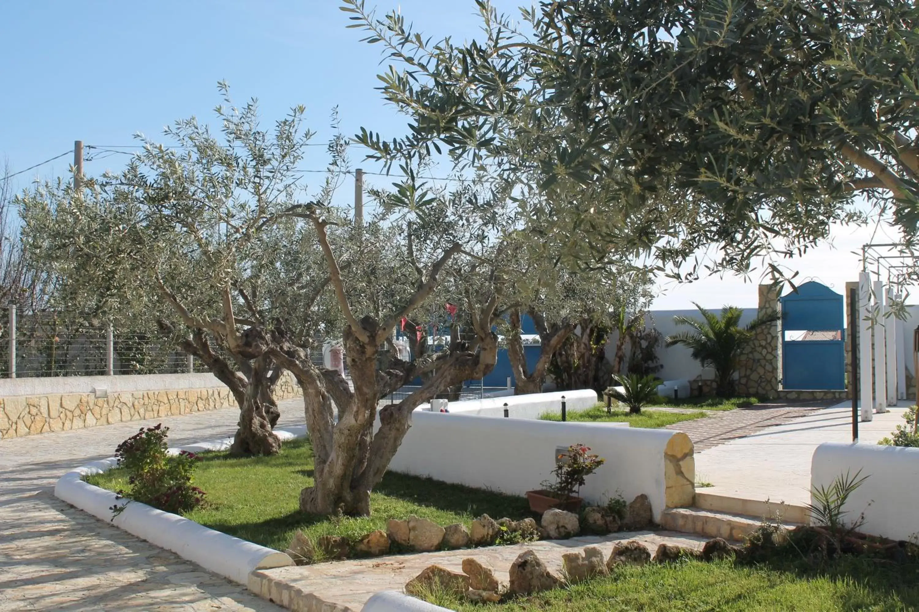 Decorative detail, Garden in Signorino Resort