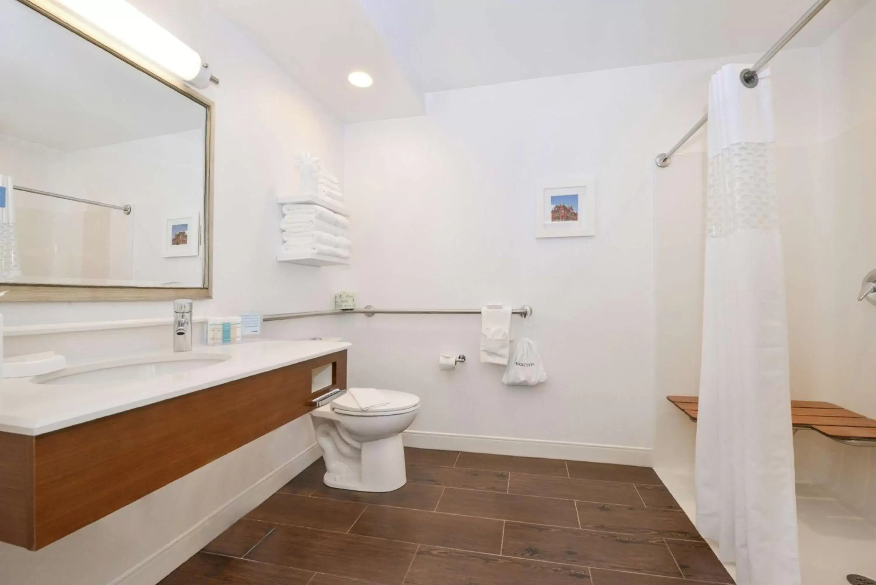 Bathroom in Hampton Inn Martinsburg