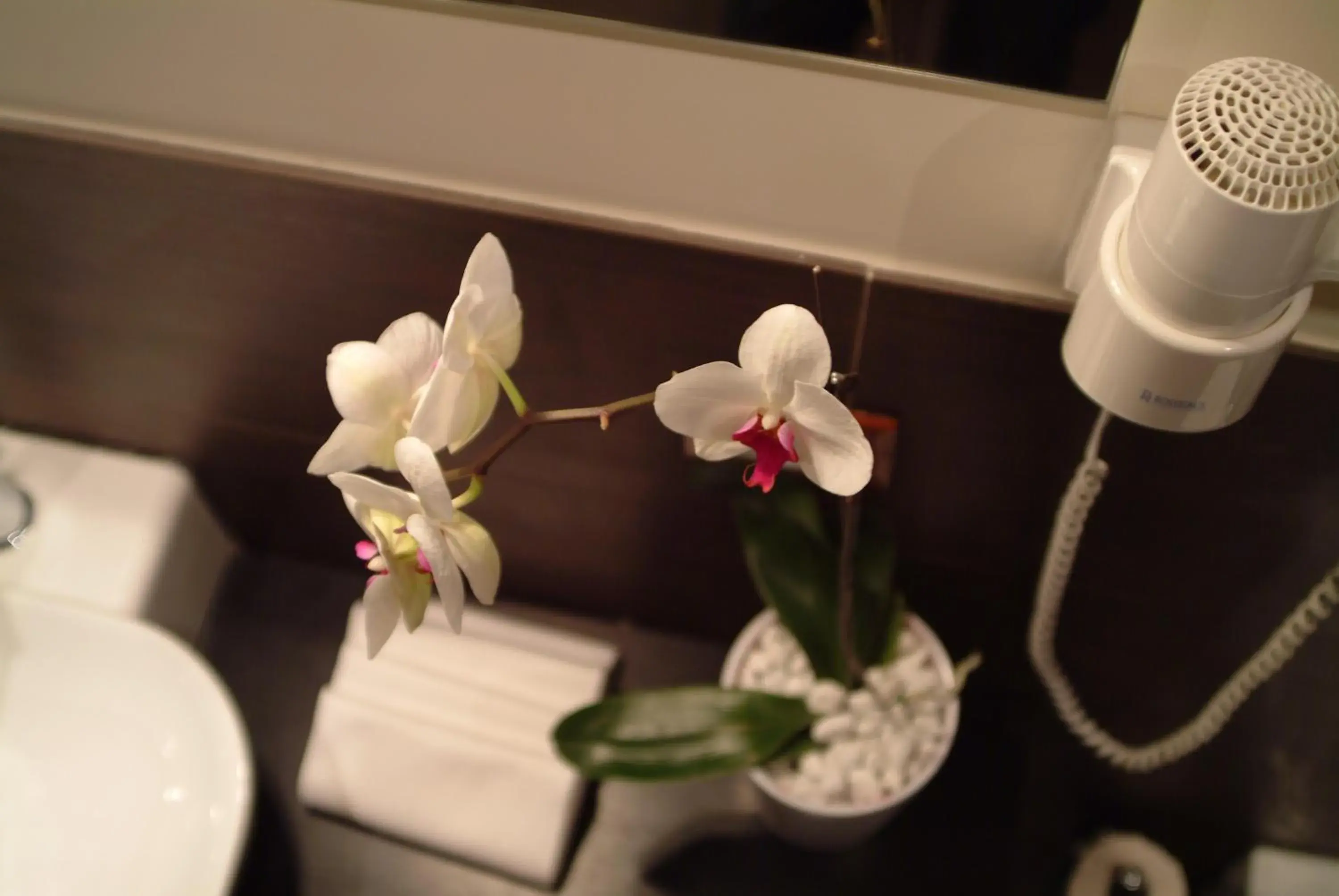 Decorative detail, Bathroom in Andrea Doria Hotel