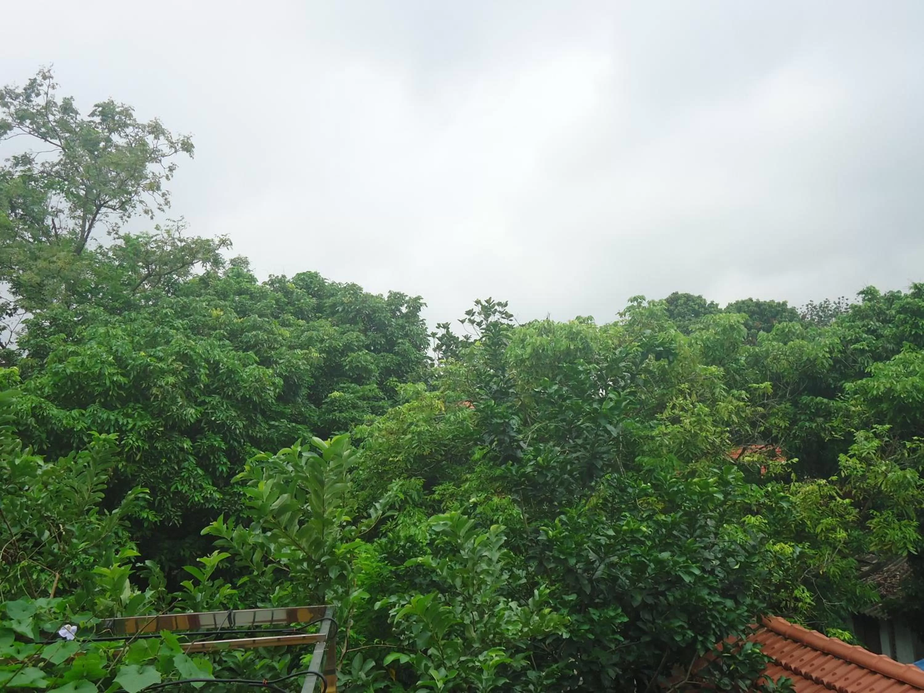 View (from property/room) in Green Space Homestay