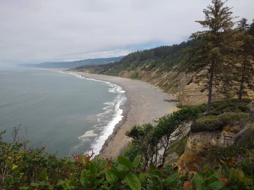 Natural landscape in Hotel Arcata