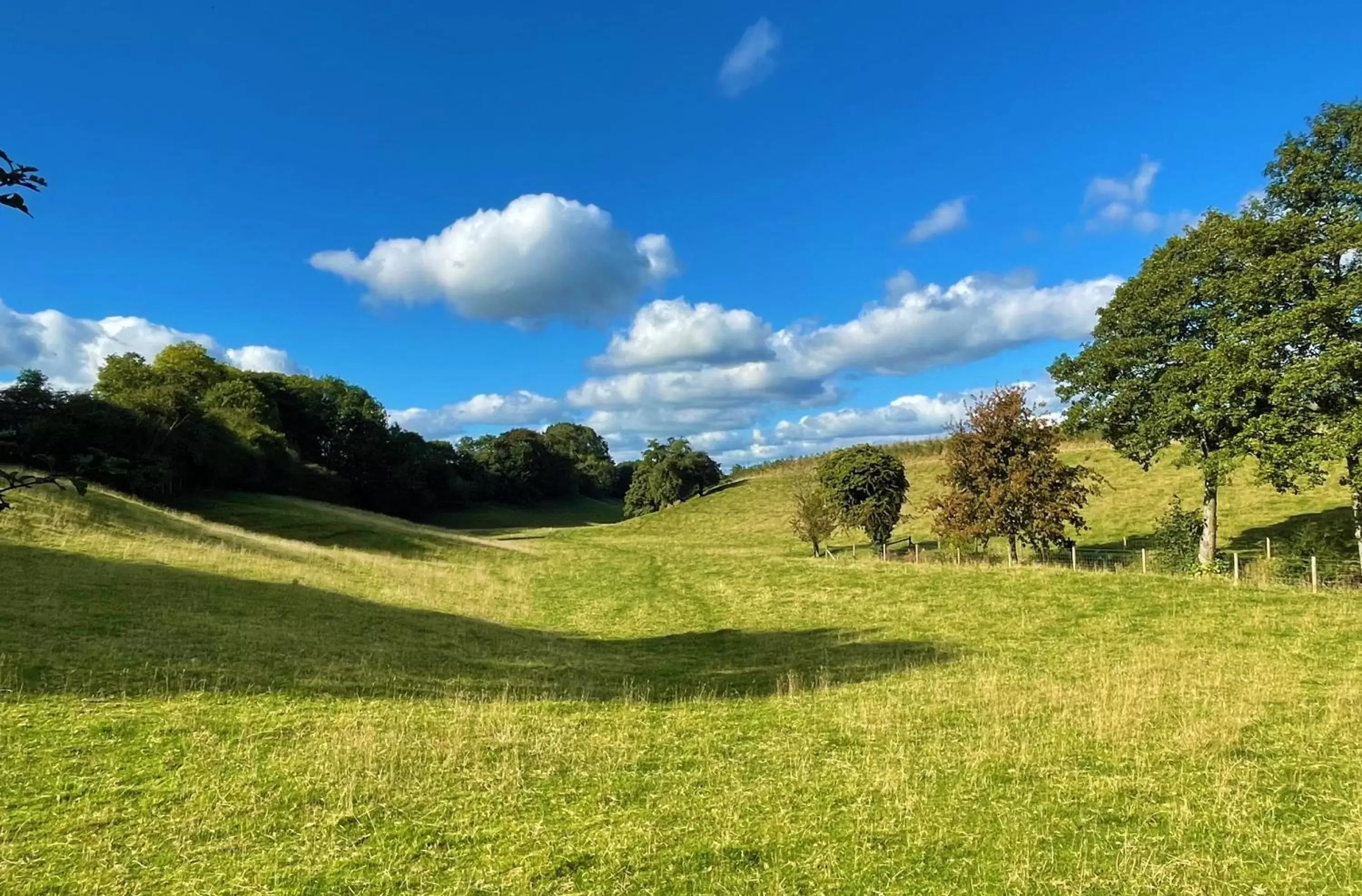 Natural landscape in Eagle House