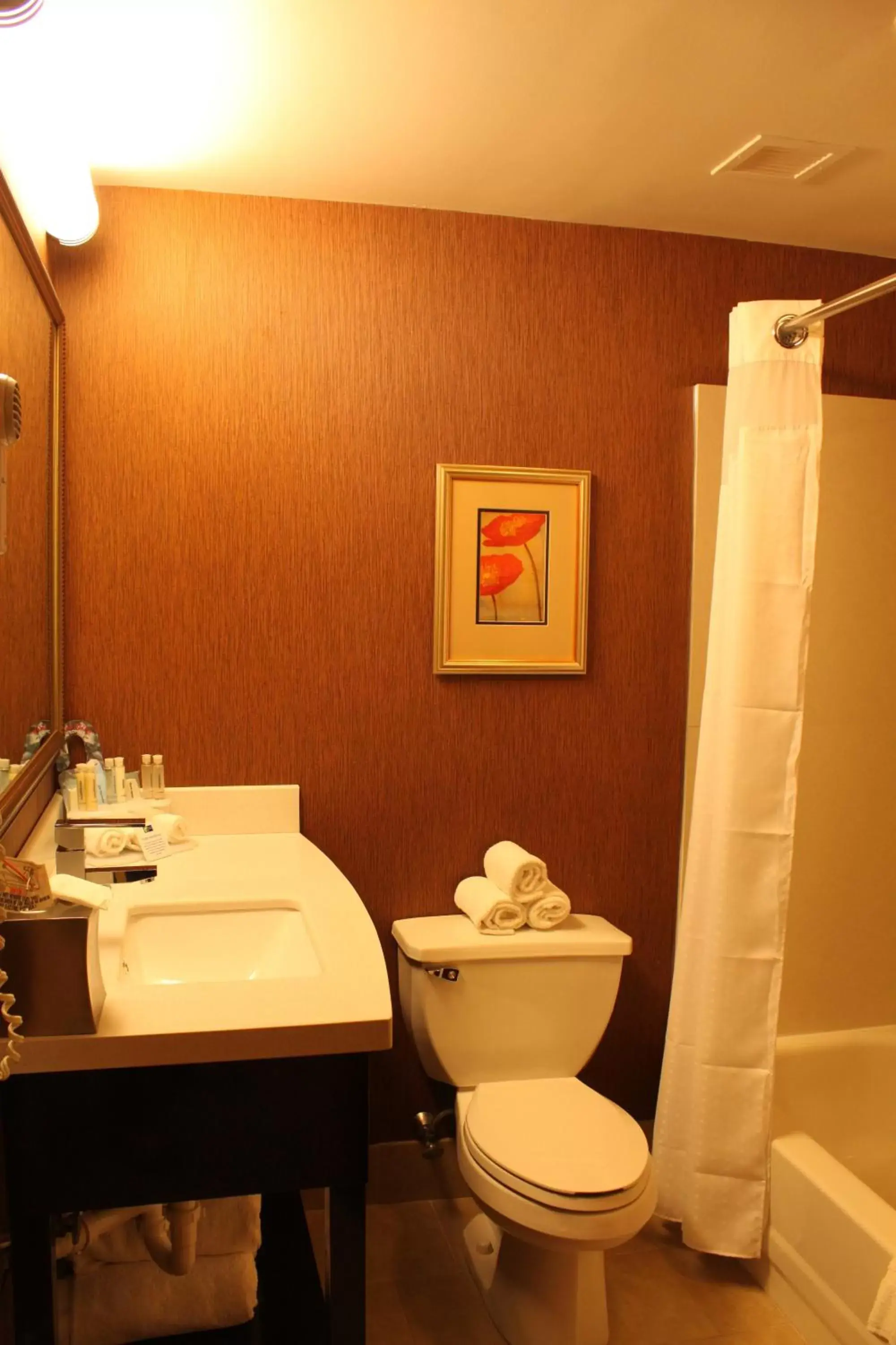 Bathroom in Holiday Inn Express Lewisburg - New Columbia, an IHG Hotel