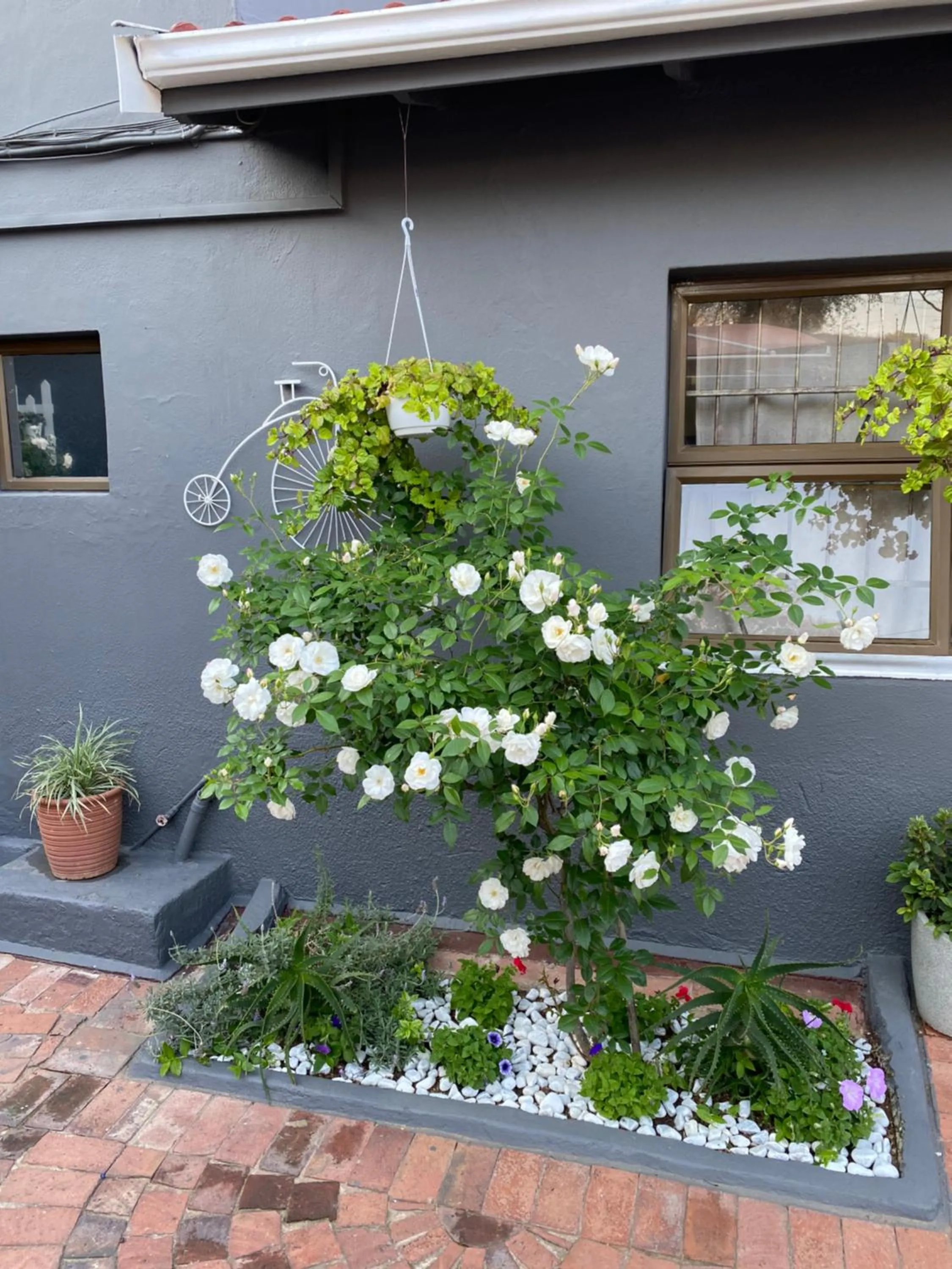 Property building in Marion Lodge