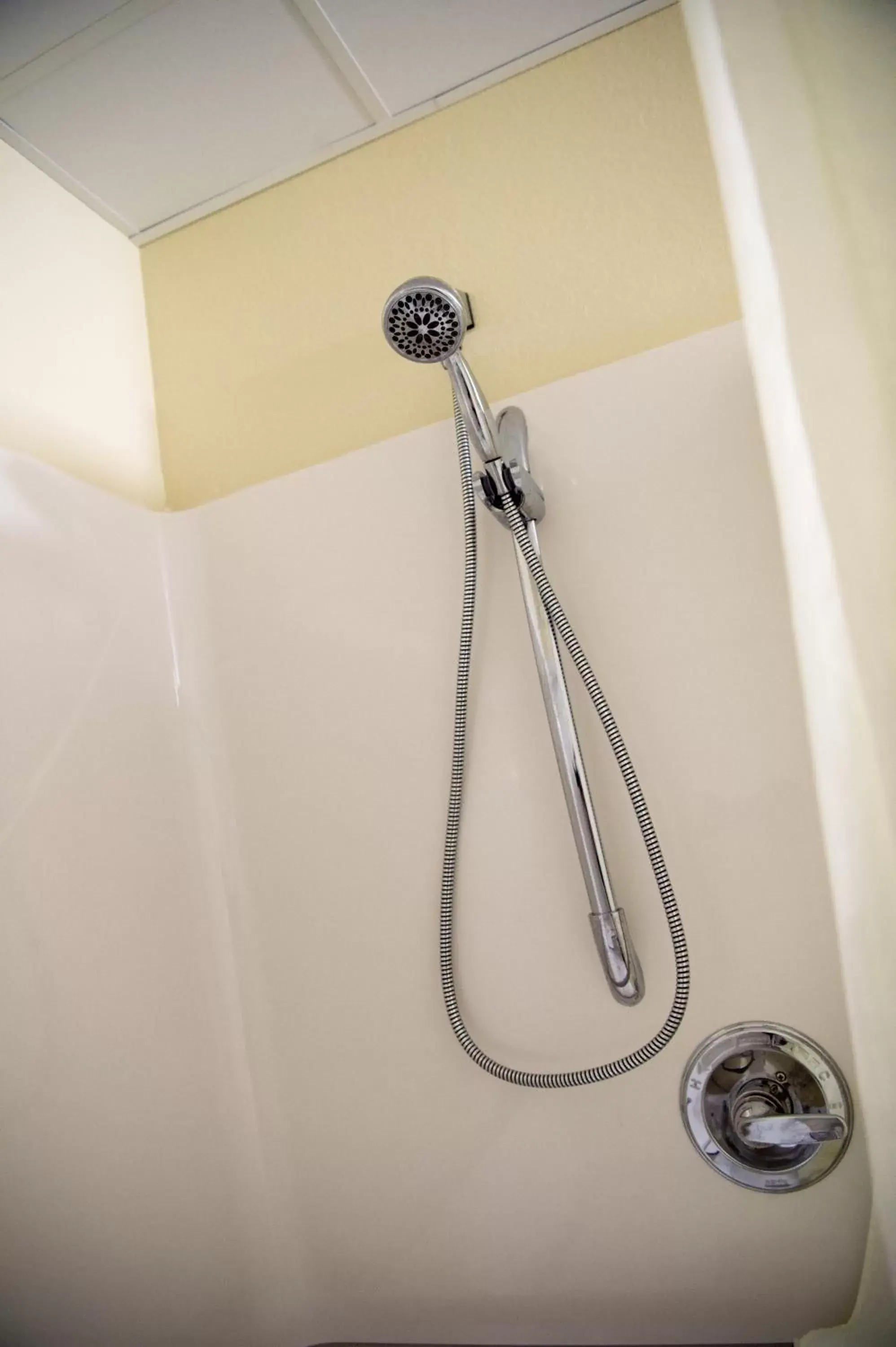 Shower, Bathroom in Cobblestone Inn & Suites - Forest City