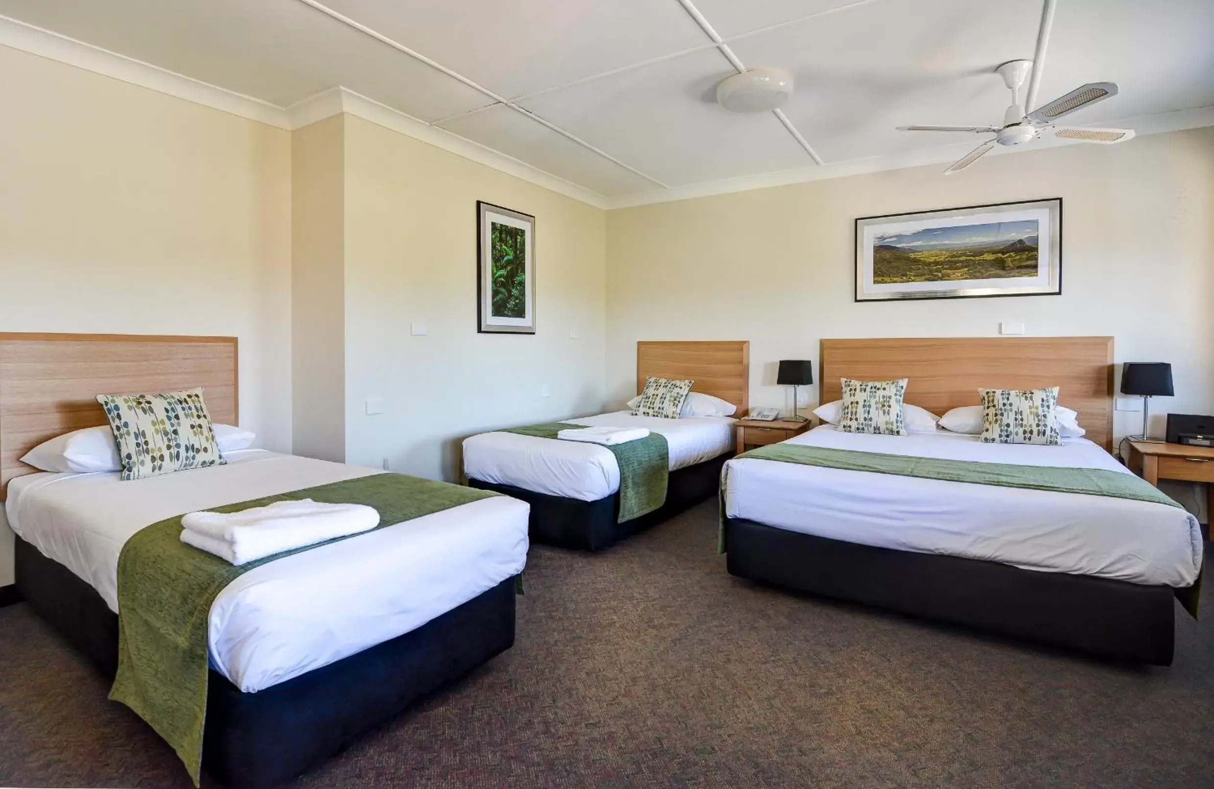 Photo of the whole room, Bed in Murwillumbah Motor Inn