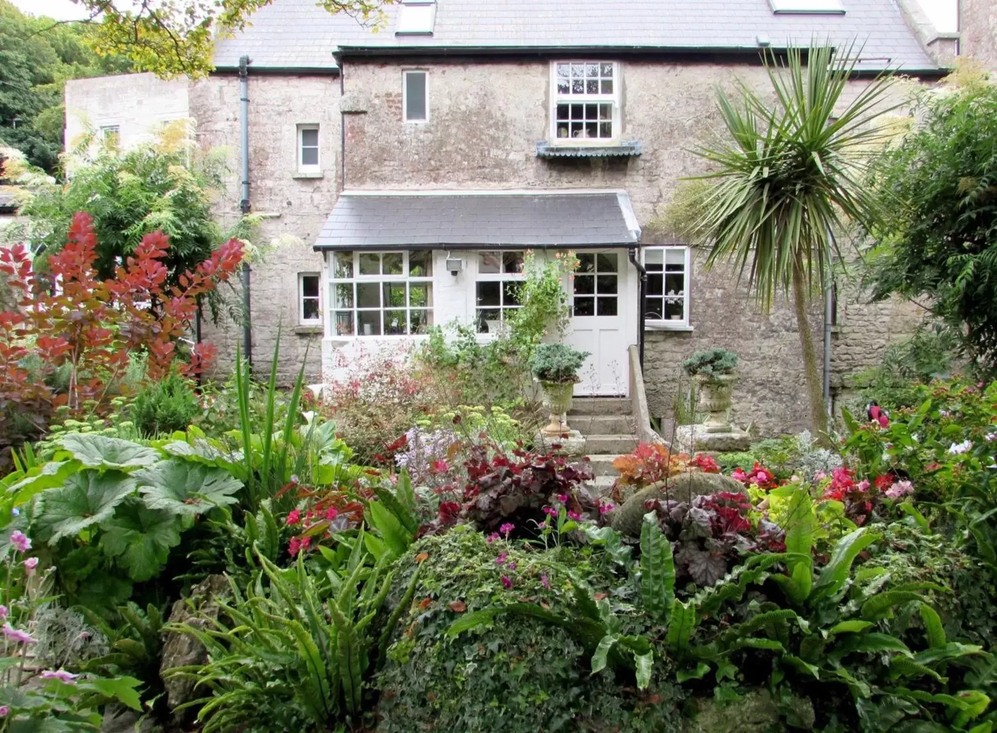 Garden, Property Building in Queen Anne House