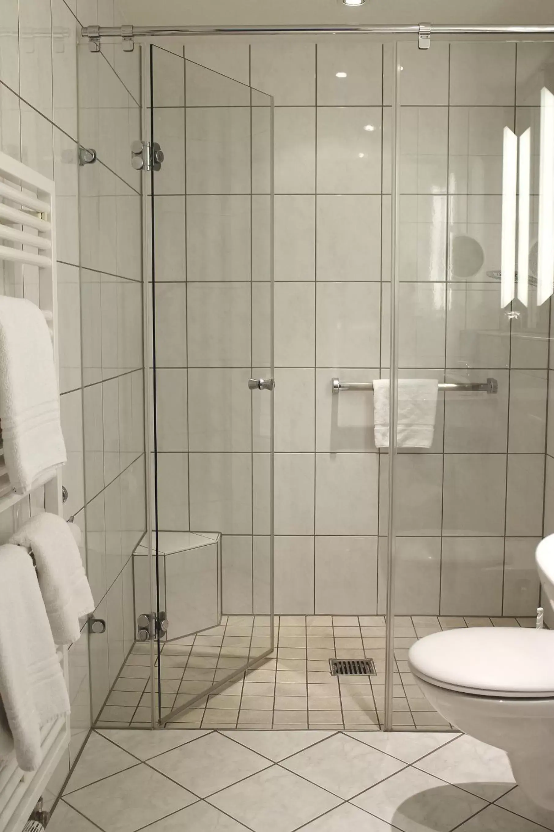 Shower, Bathroom in Hotel Zum Schiff