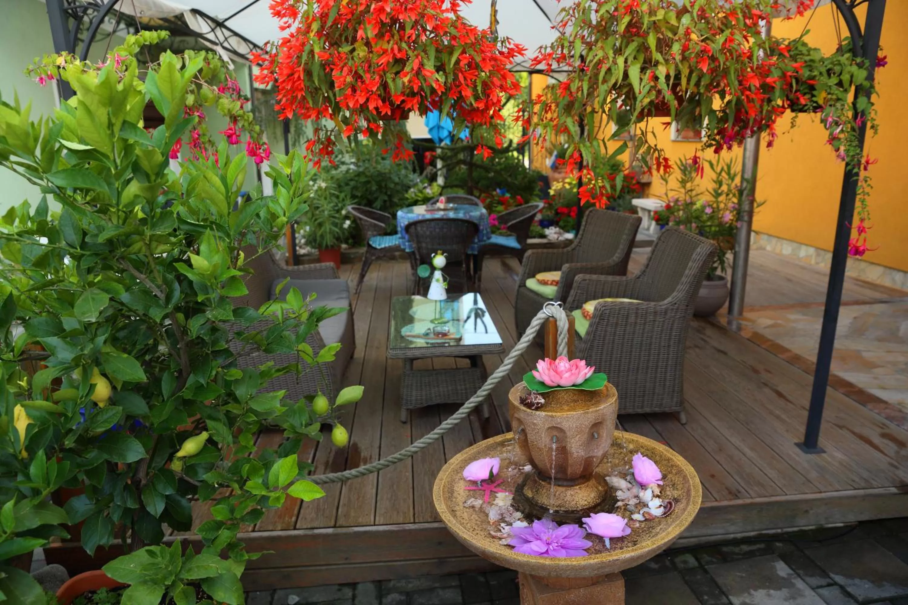 Garden in Hostel Sonce