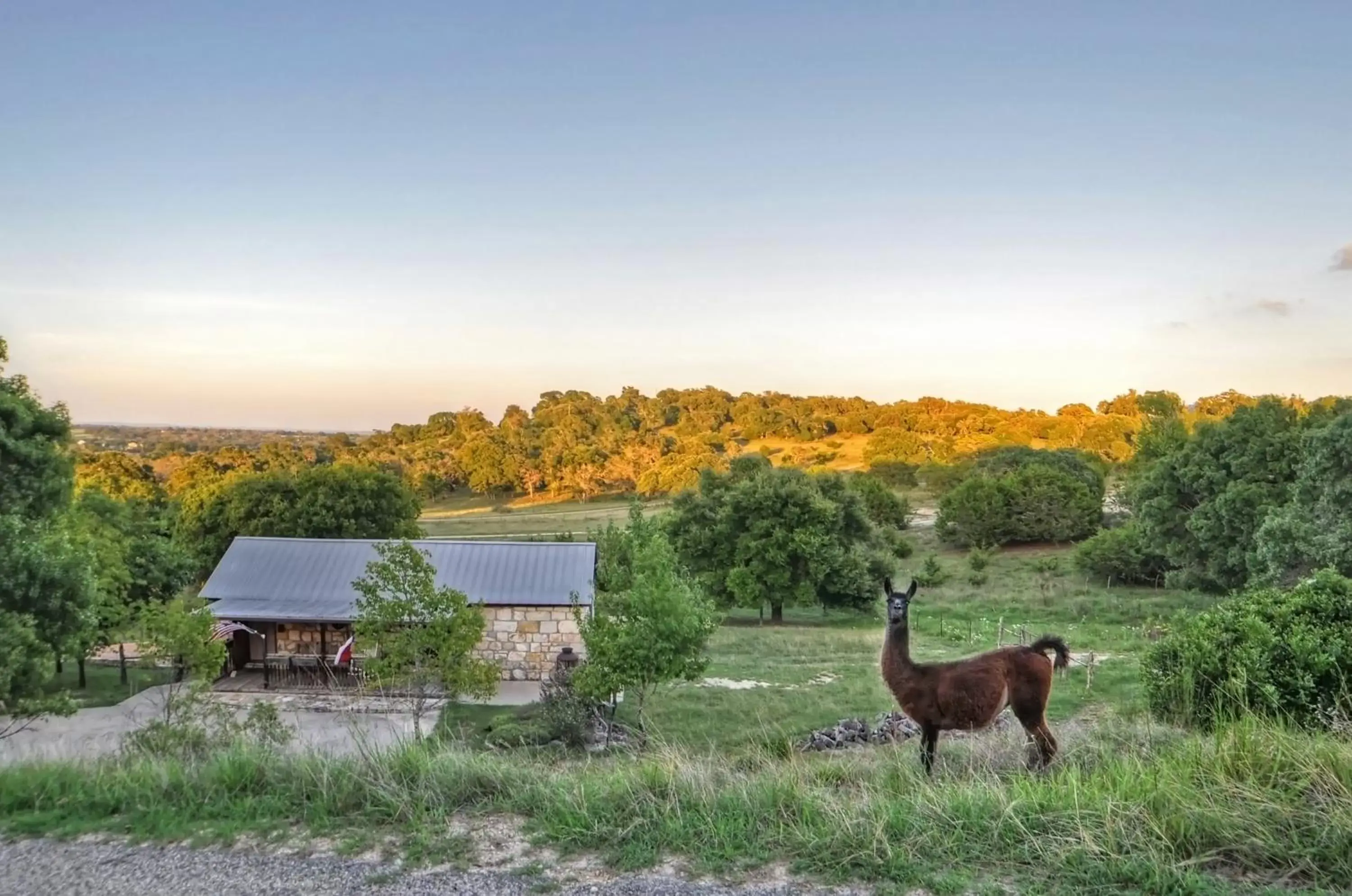 Facade/entrance, Other Animals in A Barn At The Quarry