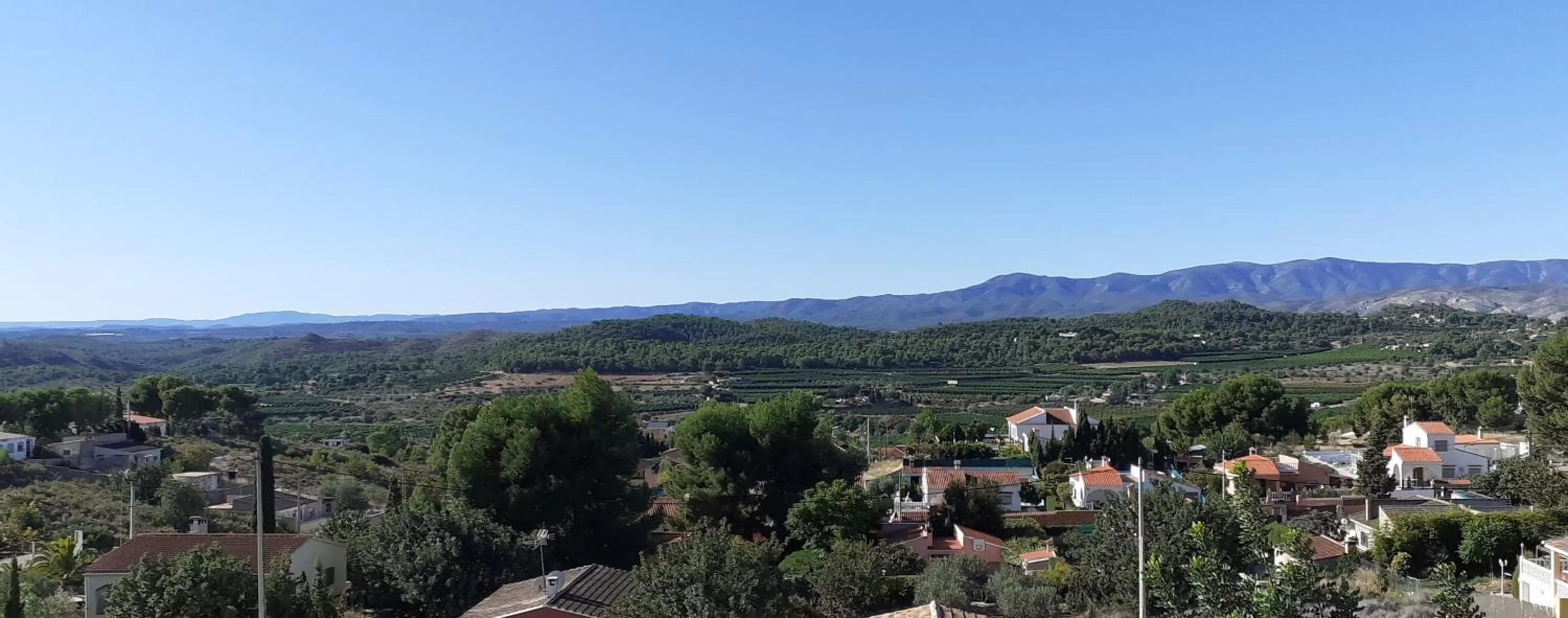 Garden view, Bird's-eye View in Casa Loro Loco B&B