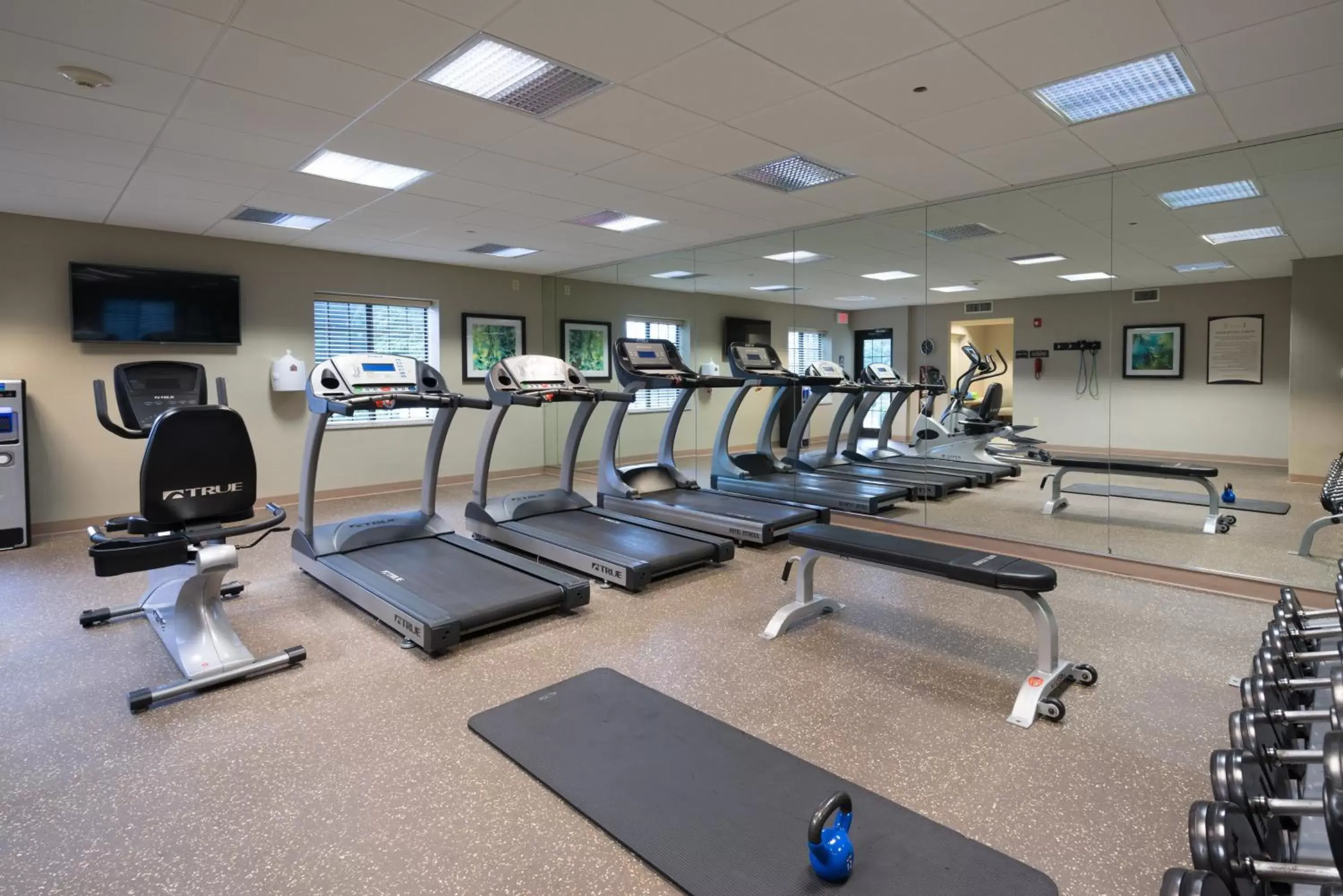 Fitness centre/facilities, Fitness Center/Facilities in Staybridge Suites Wilmington - Brandywine Valley, an IHG Hotel