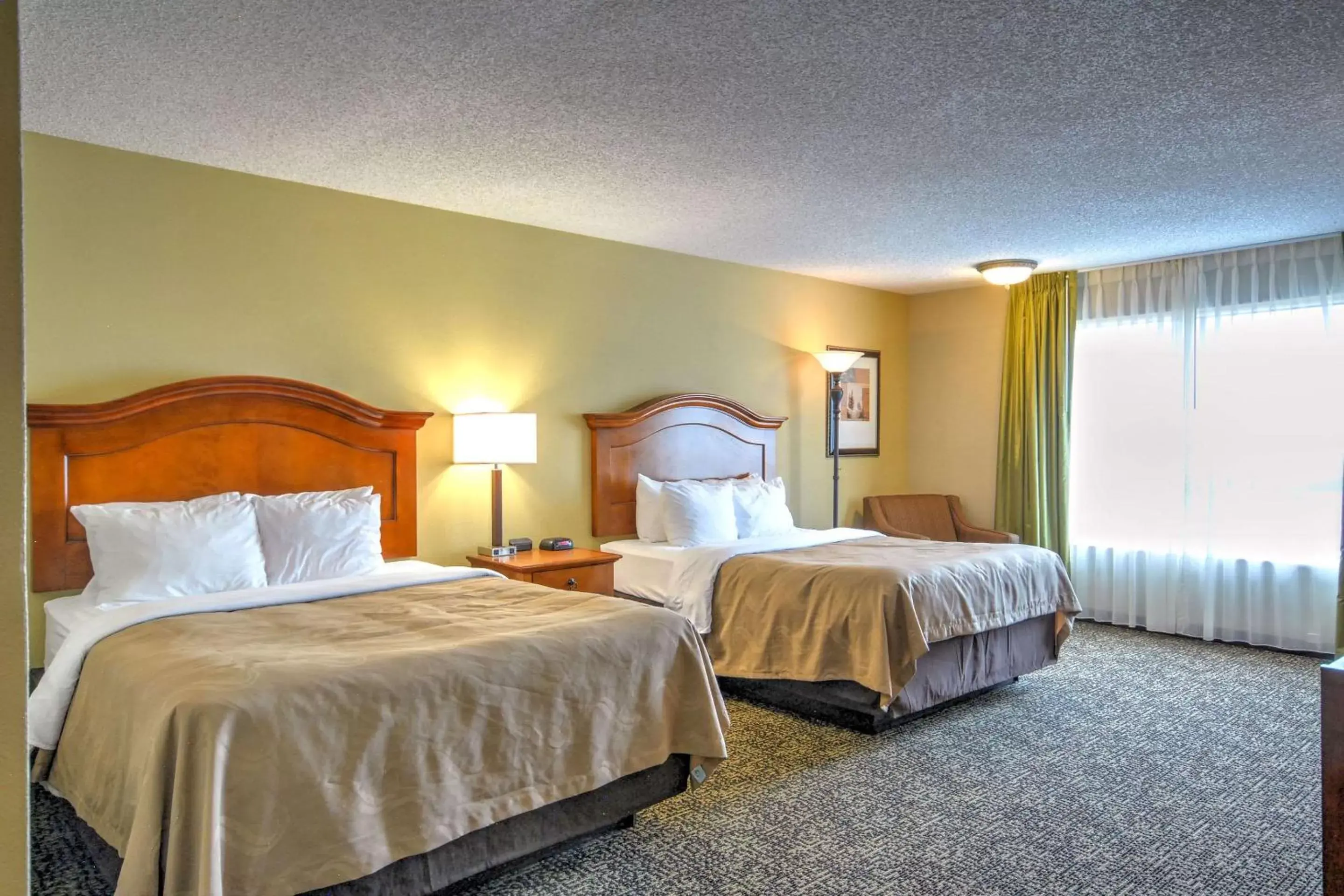 Photo of the whole room, Bed in Quality Inn Big Sky