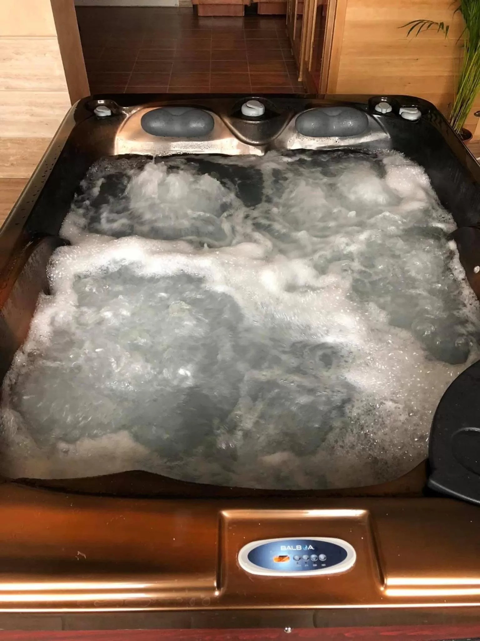 Spa and wellness centre/facilities in Garden House