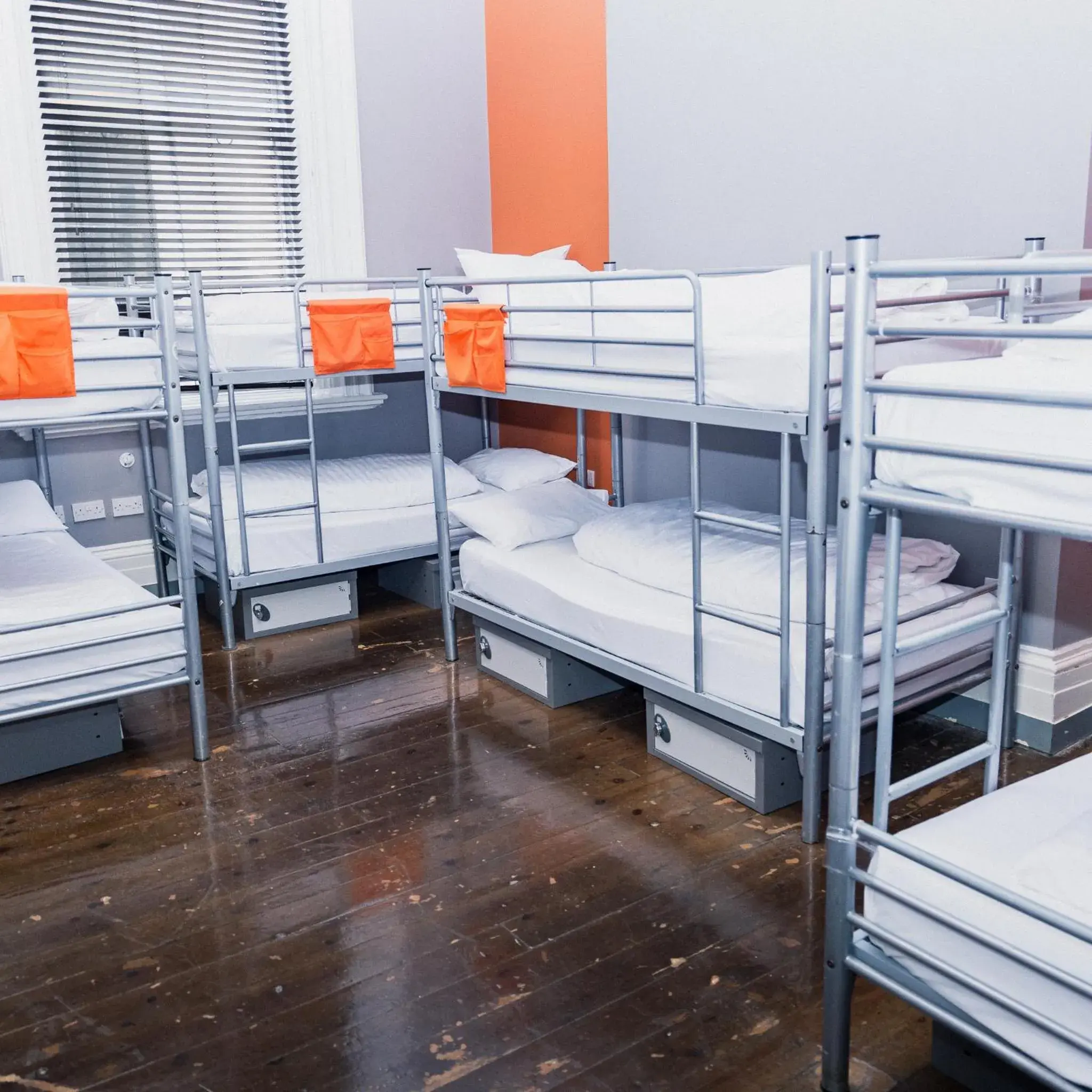 bunk bed in Albatross Hostel