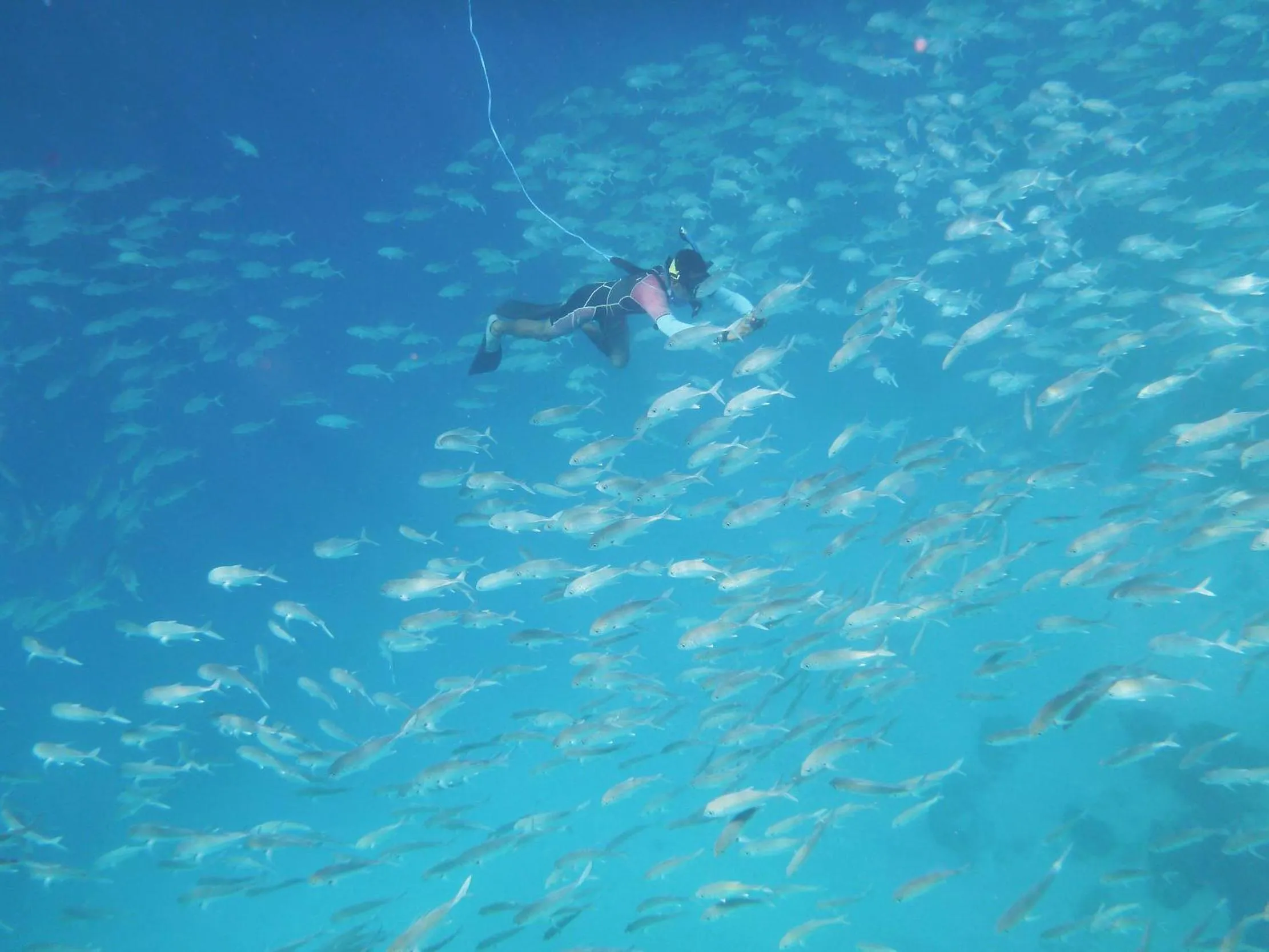 View (from property/room) in Discovery Coron formerly Club Paradise Palawan