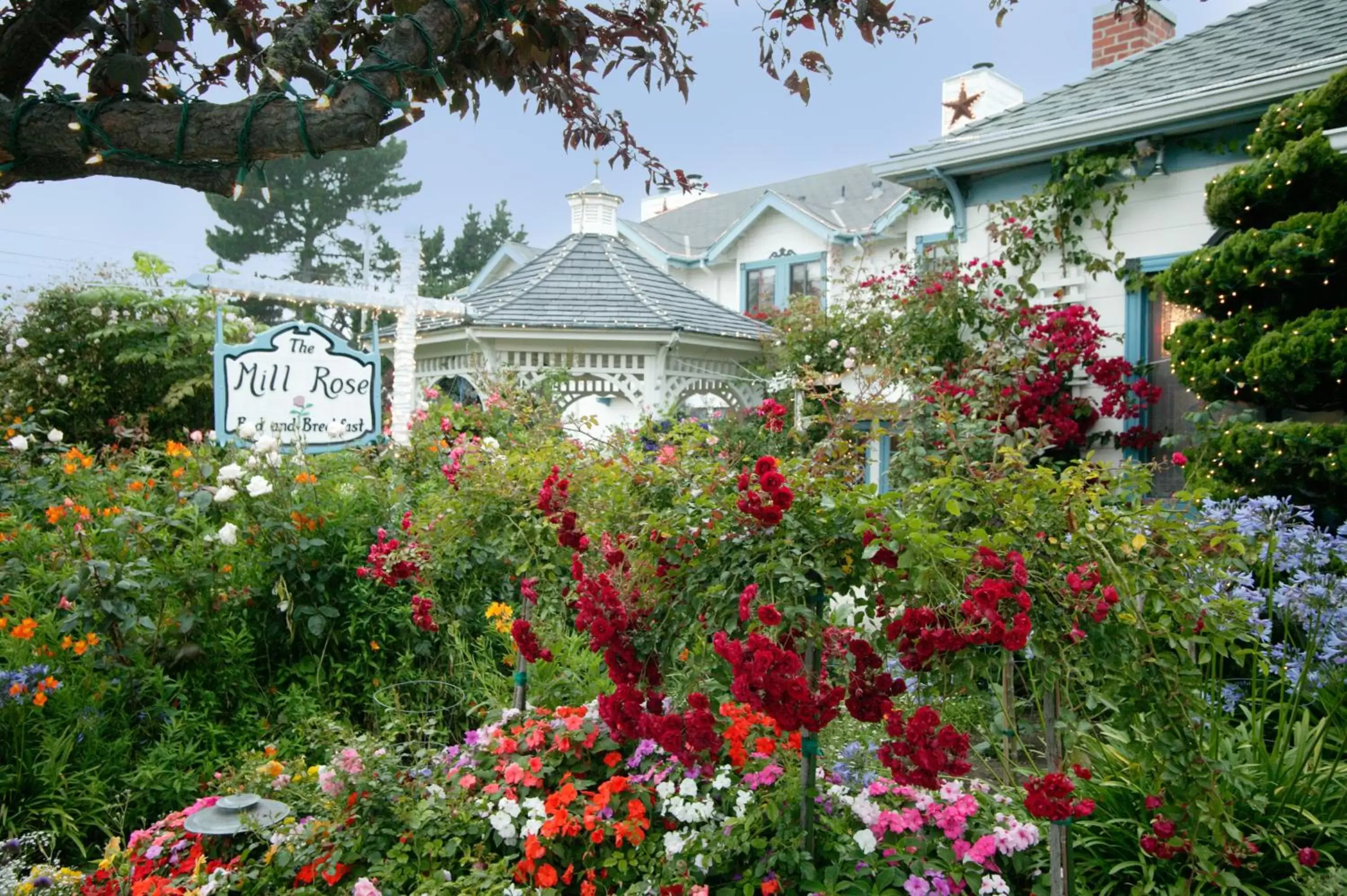 Facade/entrance in Mill Rose Inn Facade/entrance in Mill Rose Inn