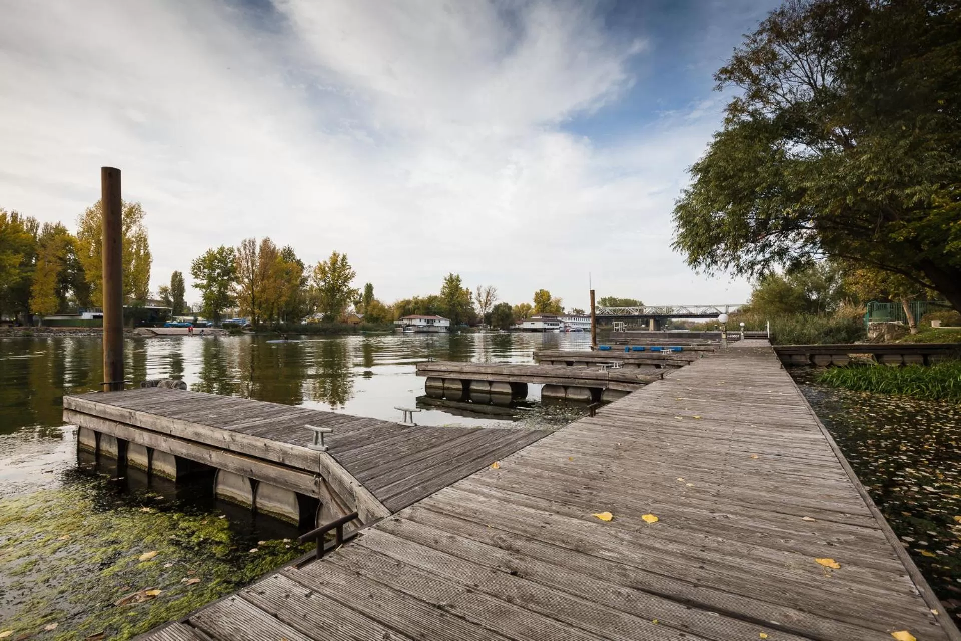 Restaurant/places to eat in Duna Garden Hotel