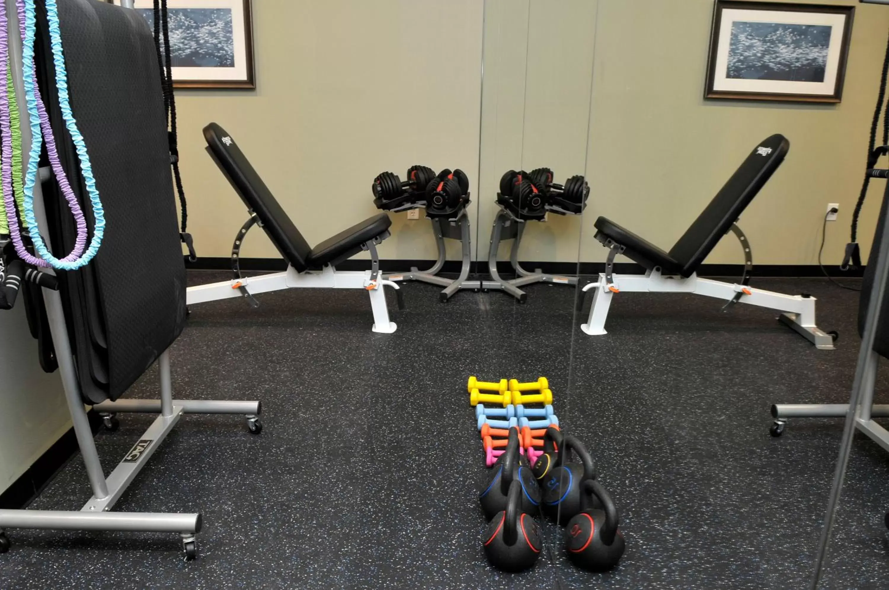 Fitness centre/facilities, Fitness Center/Facilities in Staybridge Suites St. Petersburg FL, an IHG Hotel