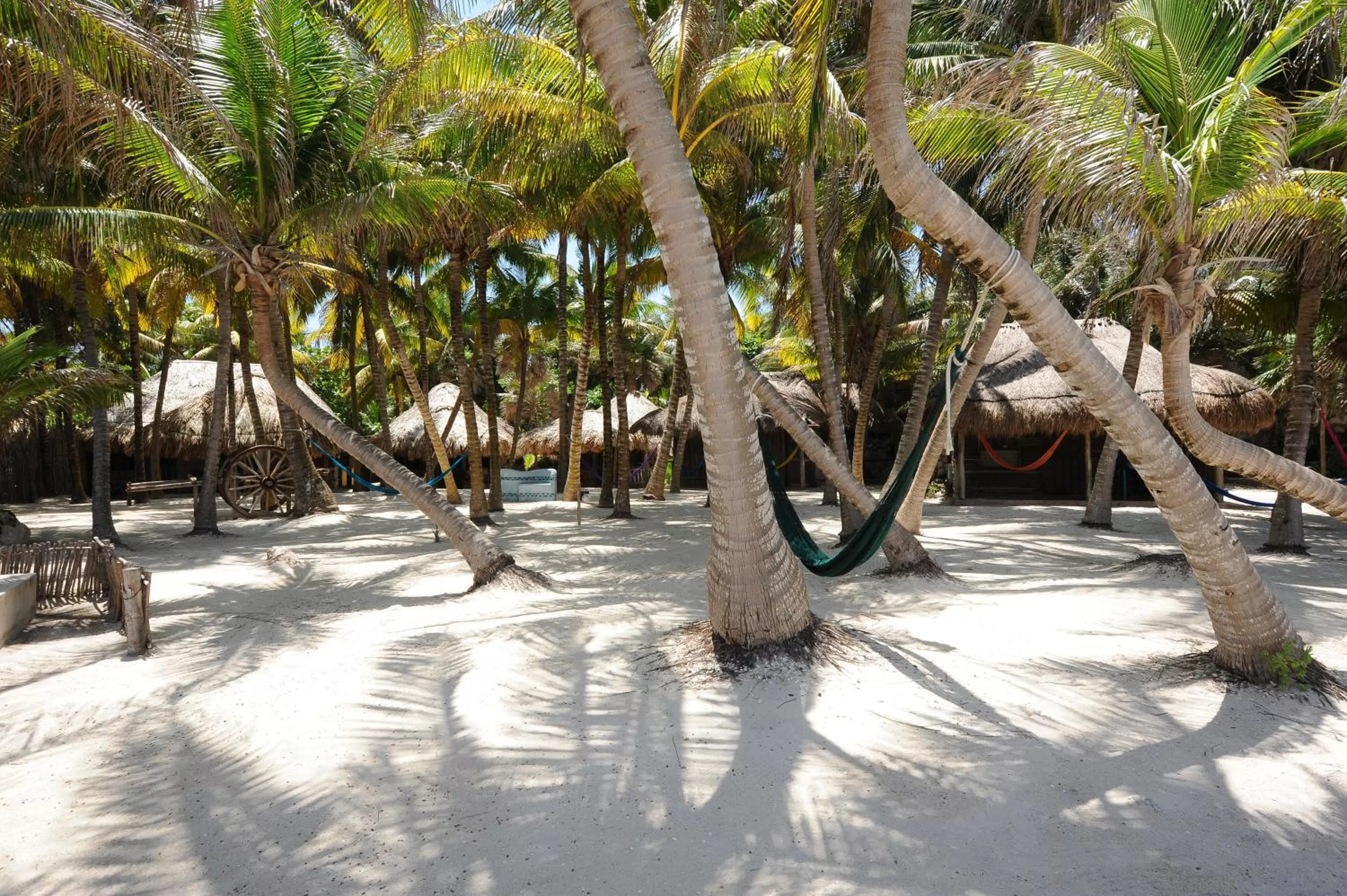 Property building in Zamas Hotel