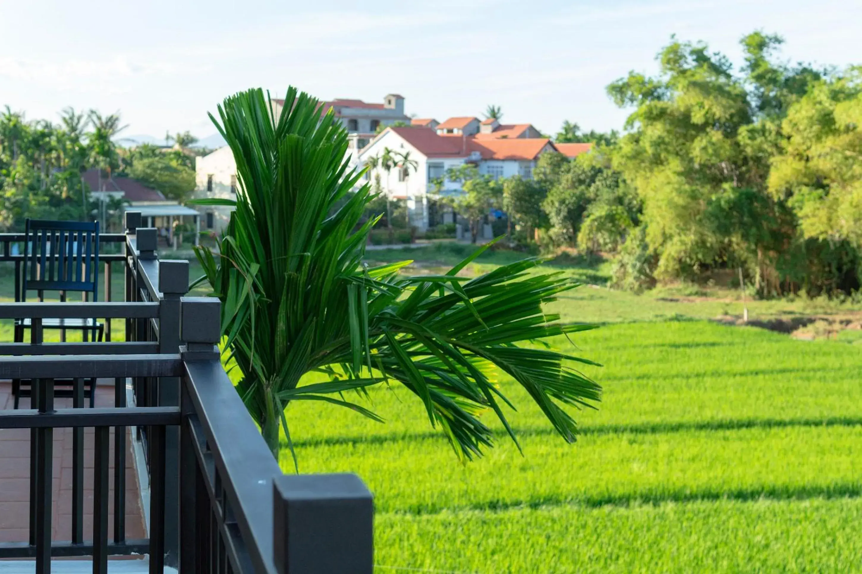 Spring in Lama Villa Hoi An