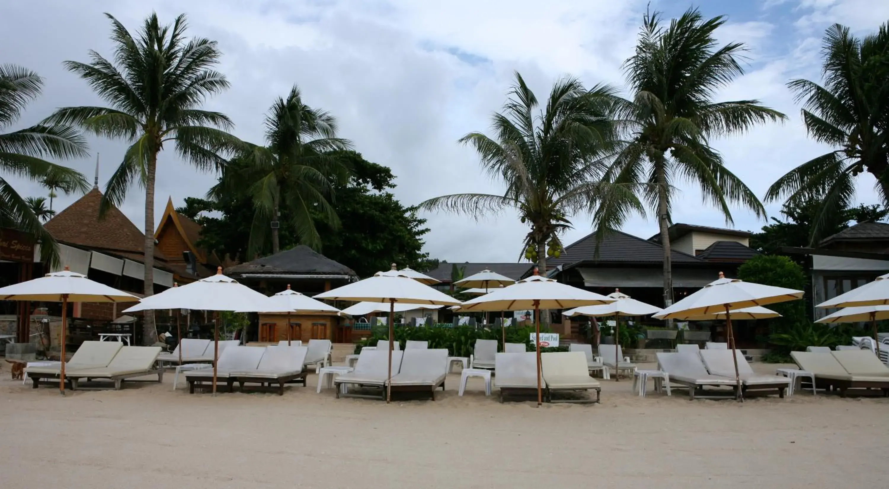 Beach in Samui Jasmine Resort - SHA Plus