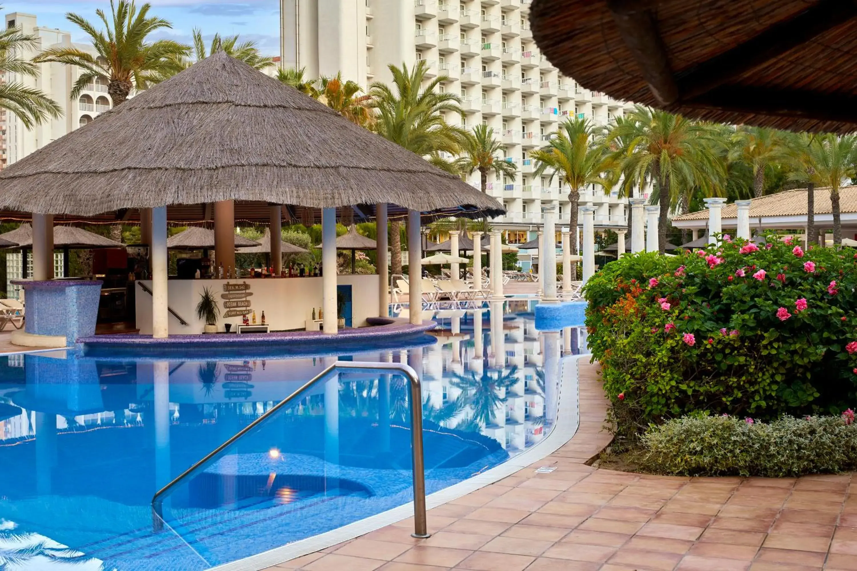 Lounge or bar, Swimming Pool in Sol Pelicanos Ocas