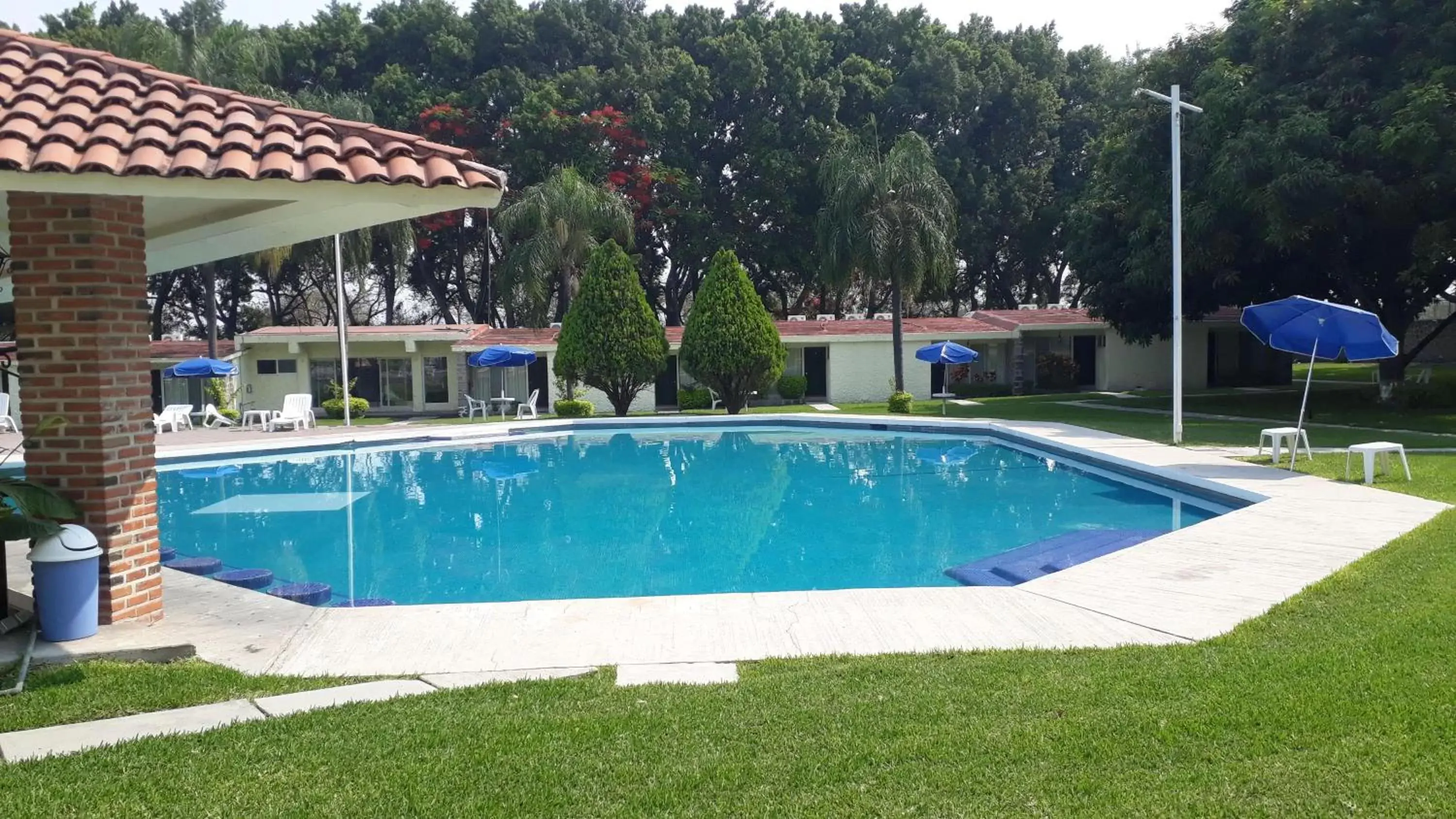 Garden, Swimming Pool in Hotel Teques Palace