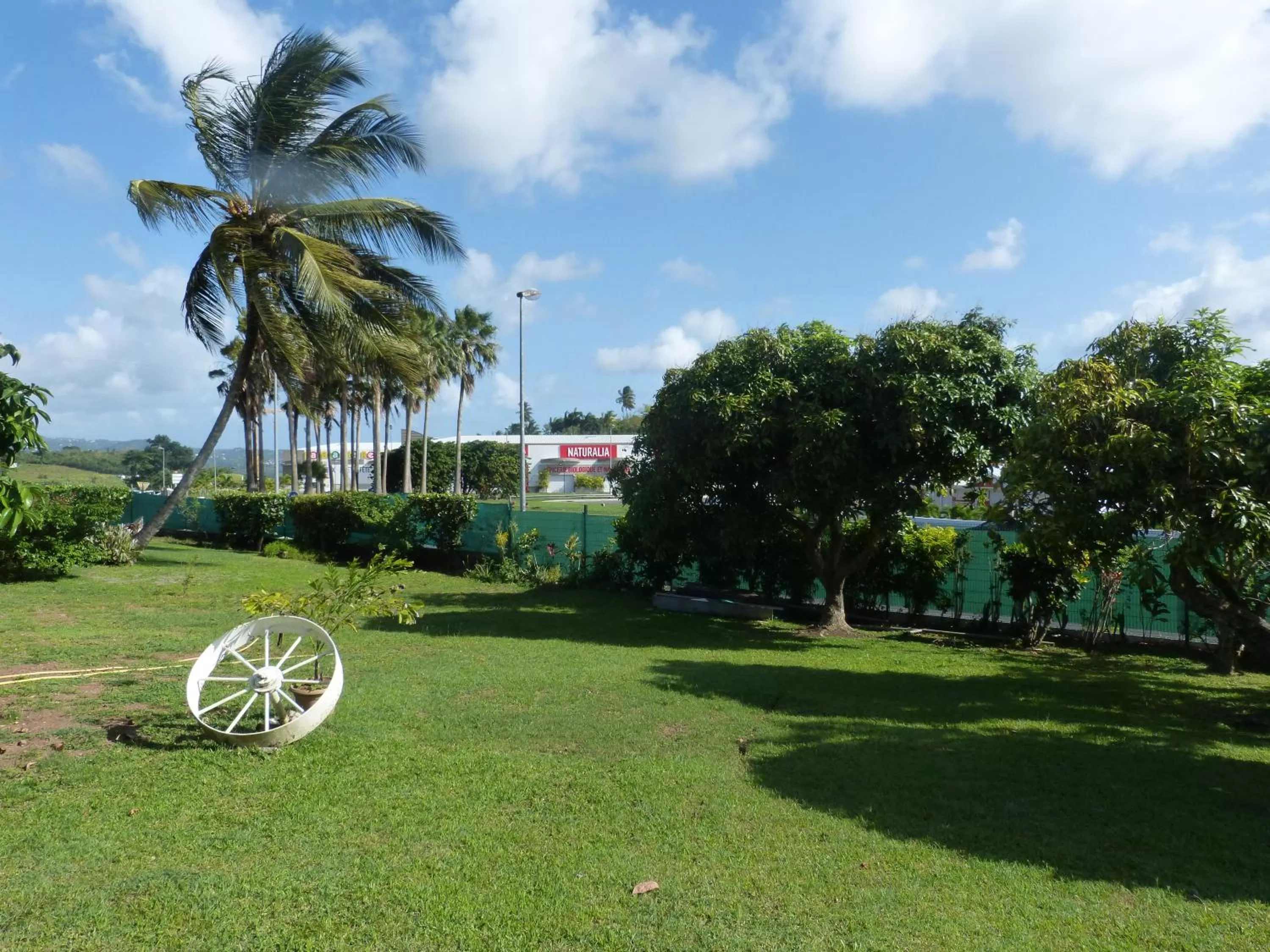 Garden in Airport Hotel