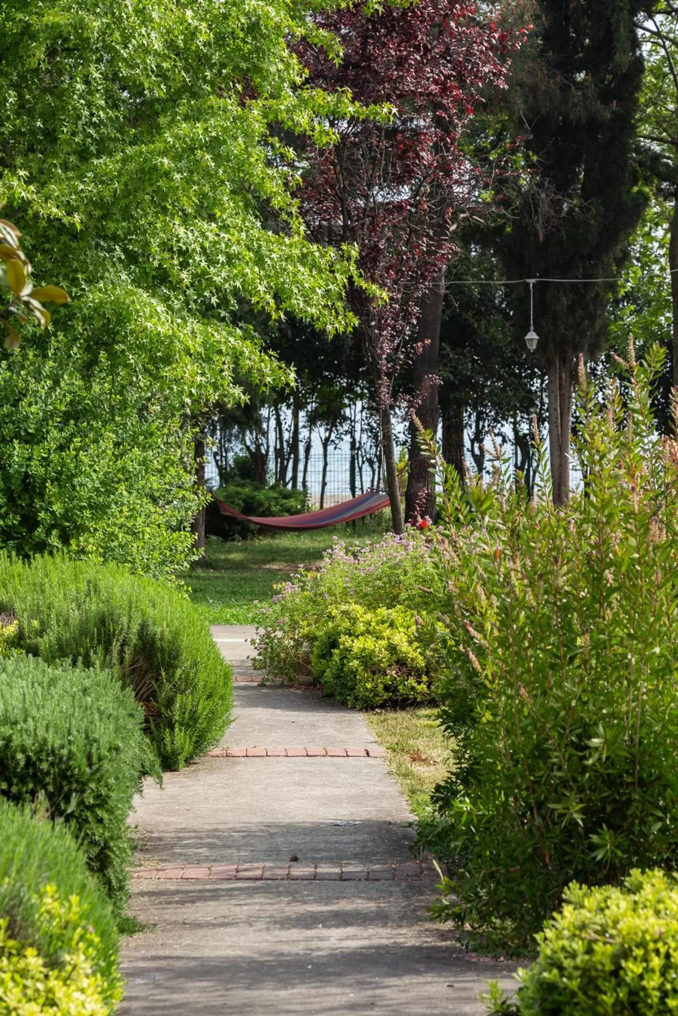 Garden in Novotel Trabzon