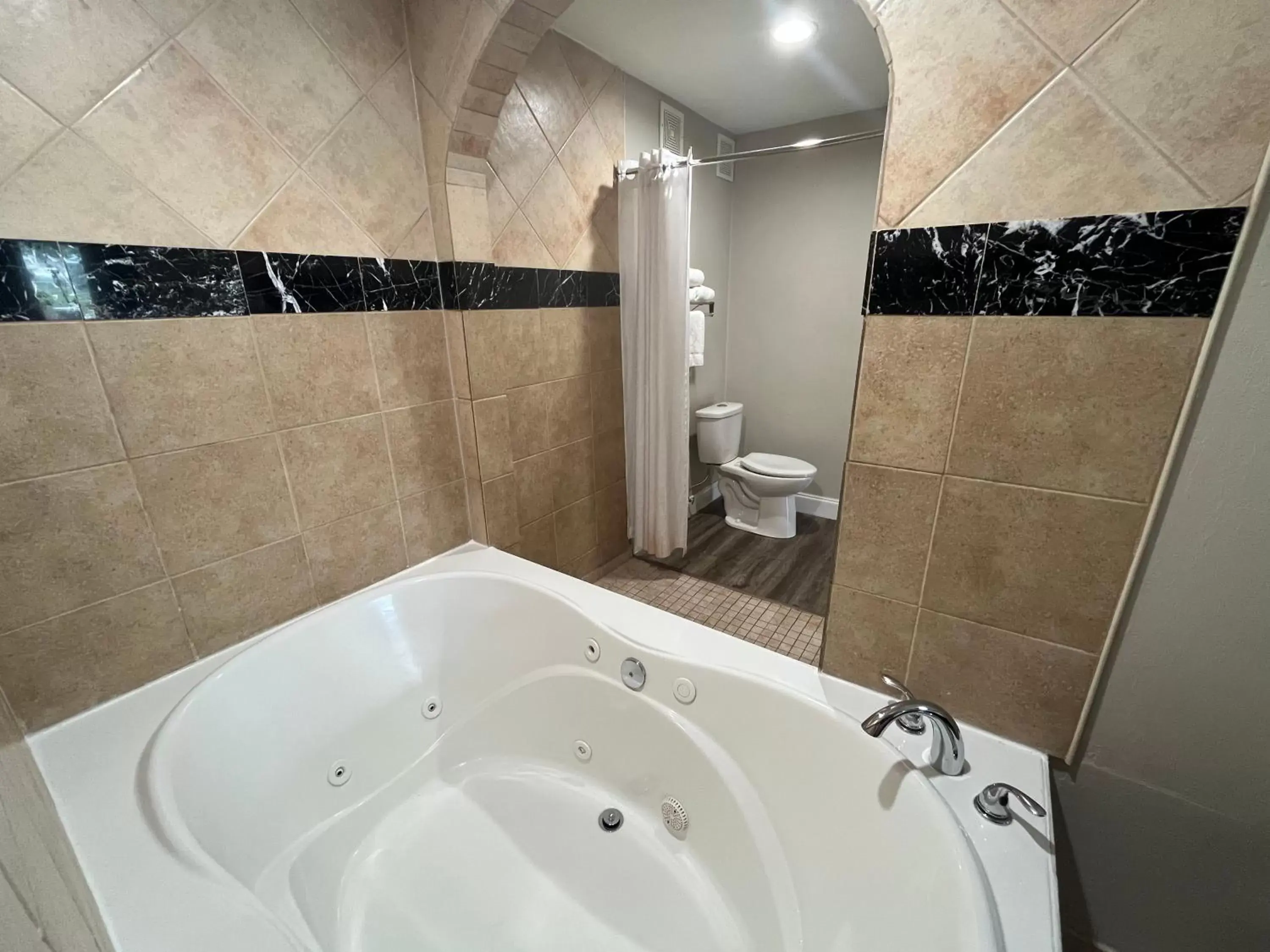 Shower, Bathroom in Econo Lodge Inn & Suites Nashville SE Murfreesboro - MTSU