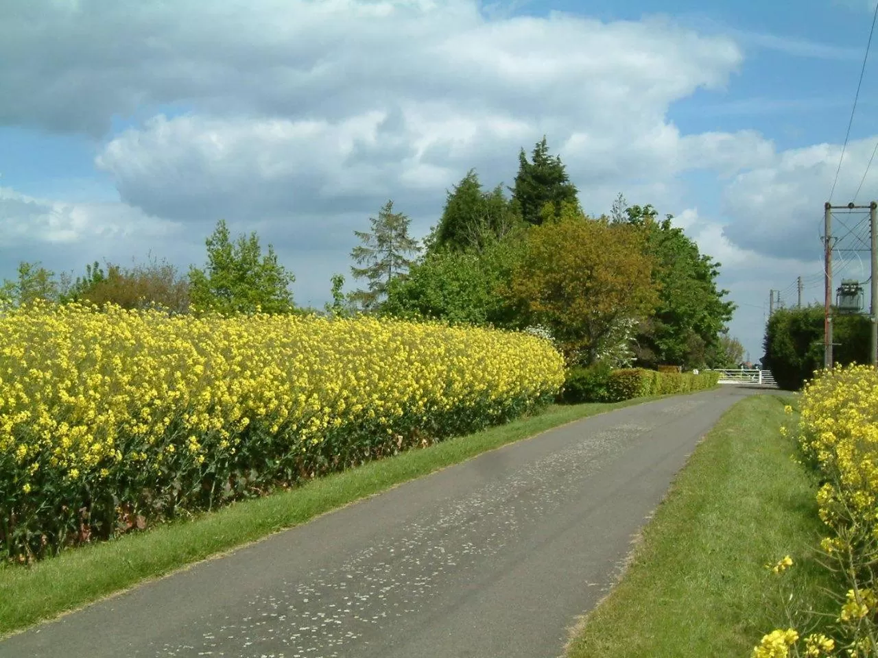 Other in Highfield Farm