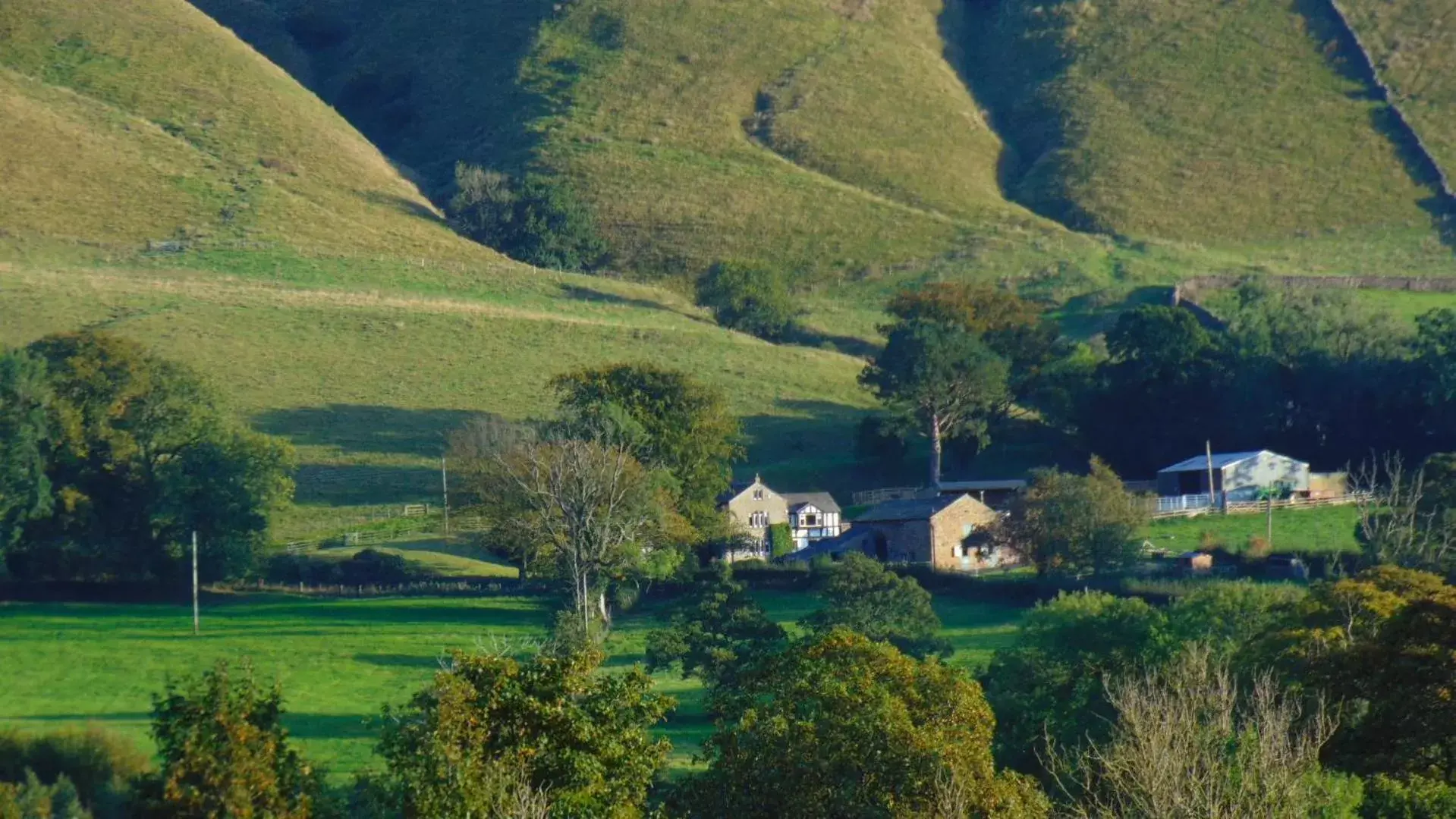 Bird's-eye View in Greendale View